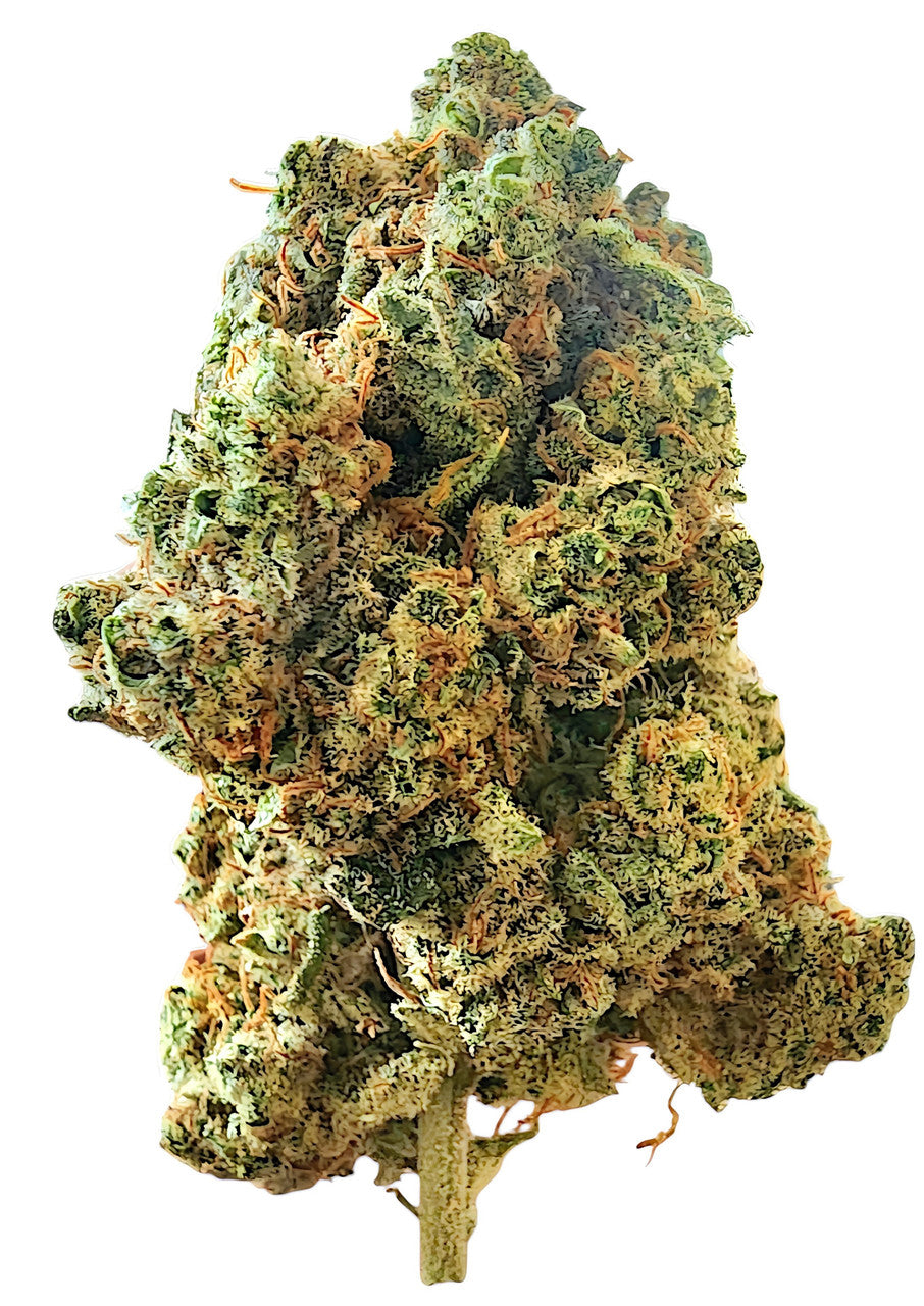 Cookie Crunch Indoor Flower