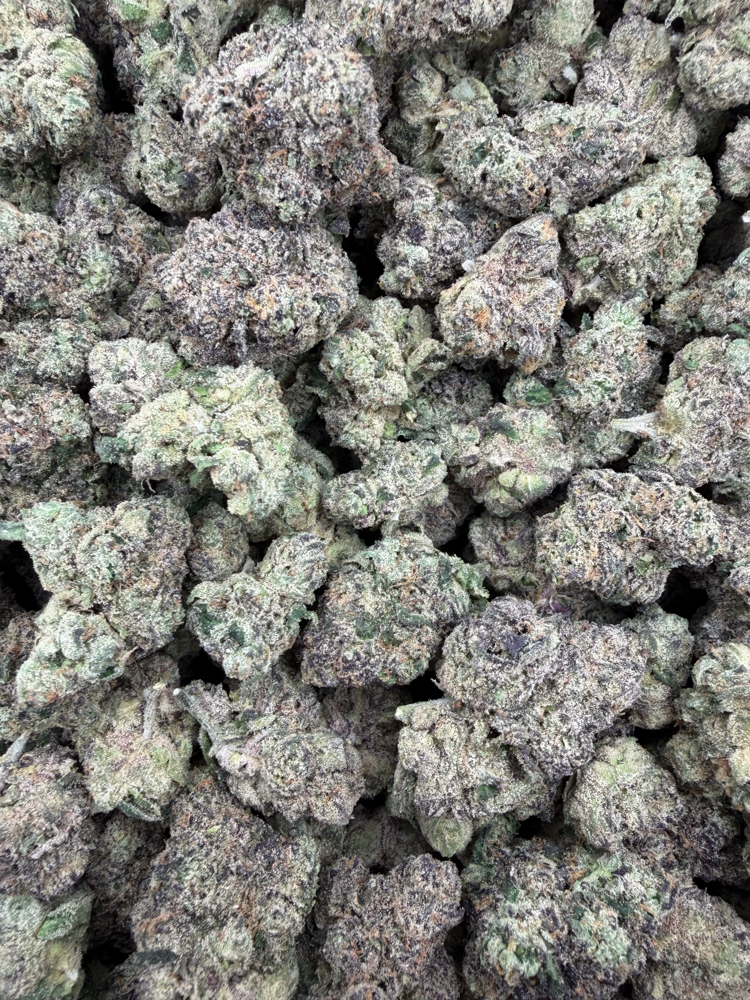 Cosmic Taffy THCA flower – current full-lot view
