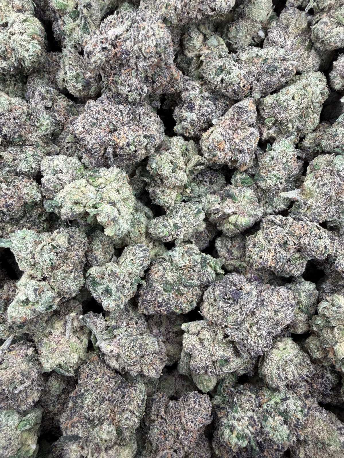 Cosmic Taffy THCA flower – current full-lot view