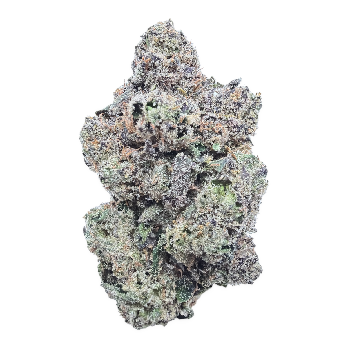 Cosmic Taffy THCA flower – isolated current bud on white background