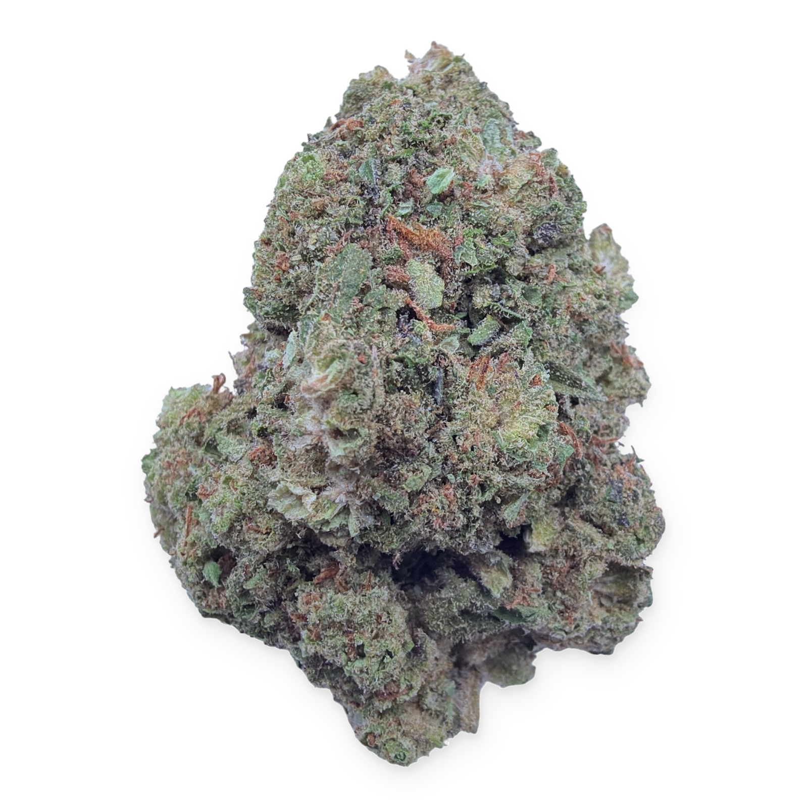 Durban Cookies Light Assist THCA flower isolated buds on white background