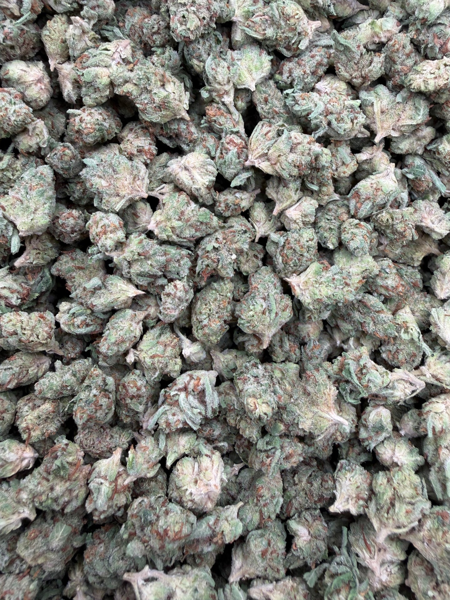 Garlic Gas Indoor Smalls THCA flower – full current-batch photo