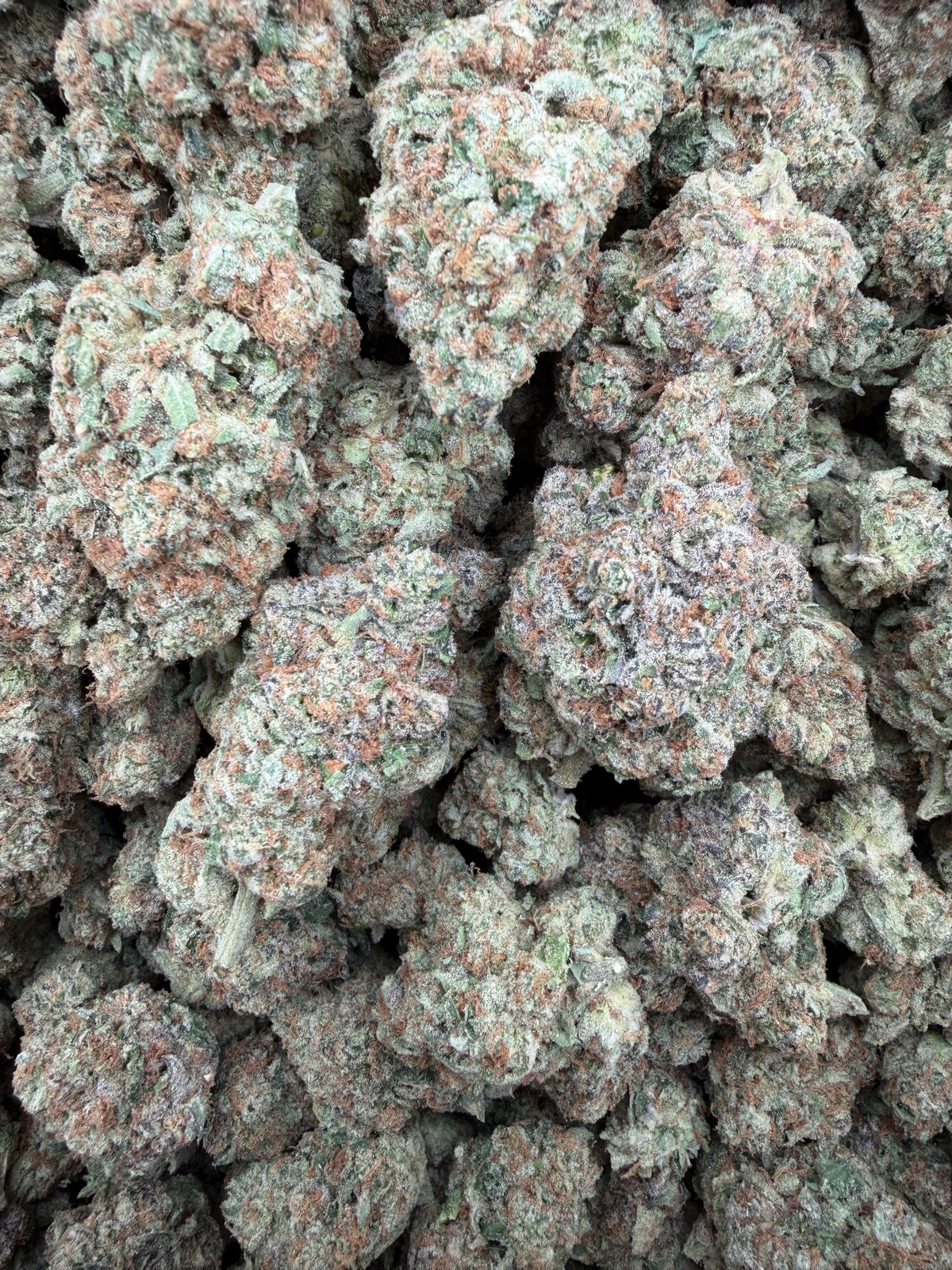 Gary Cherry THCA flower – current full-lot view