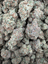 Gary Cherry THCA flower – current full-lot view