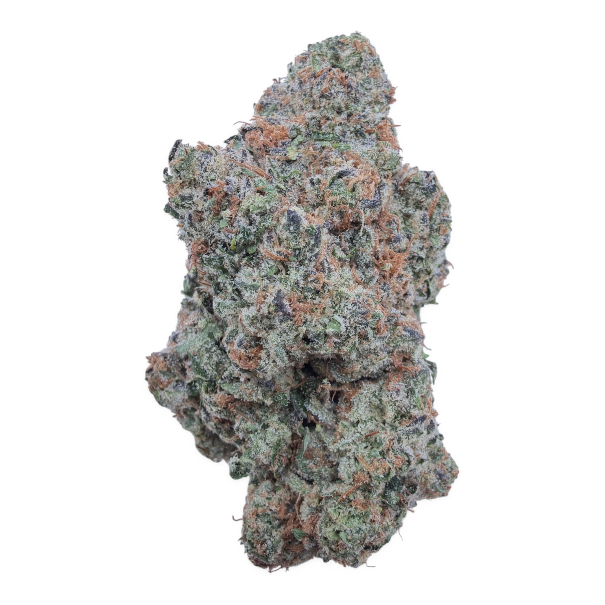 Gary Cherry THCA flower – isolated current bud on white background