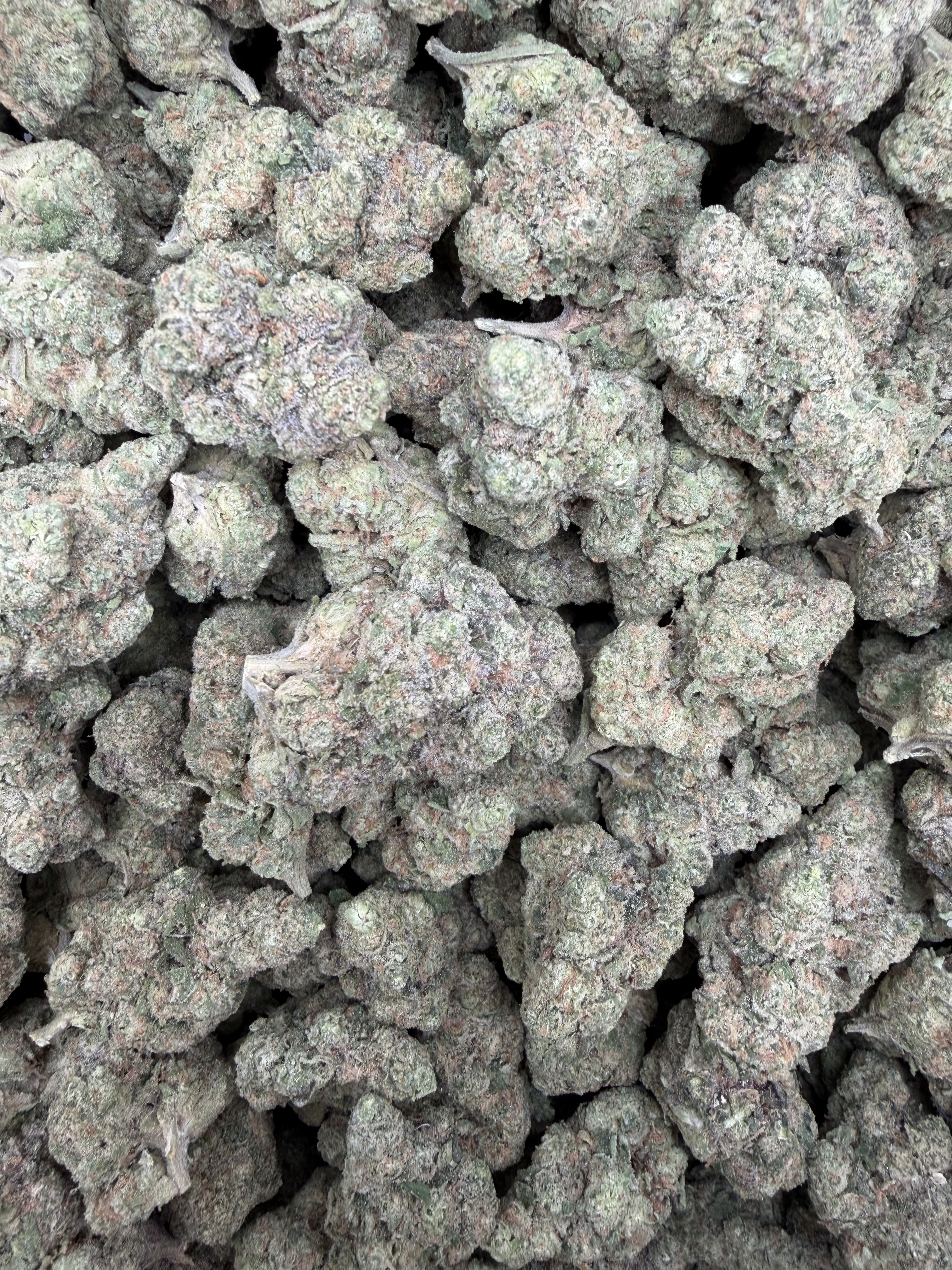 Gasanova THCA flower full framed lot