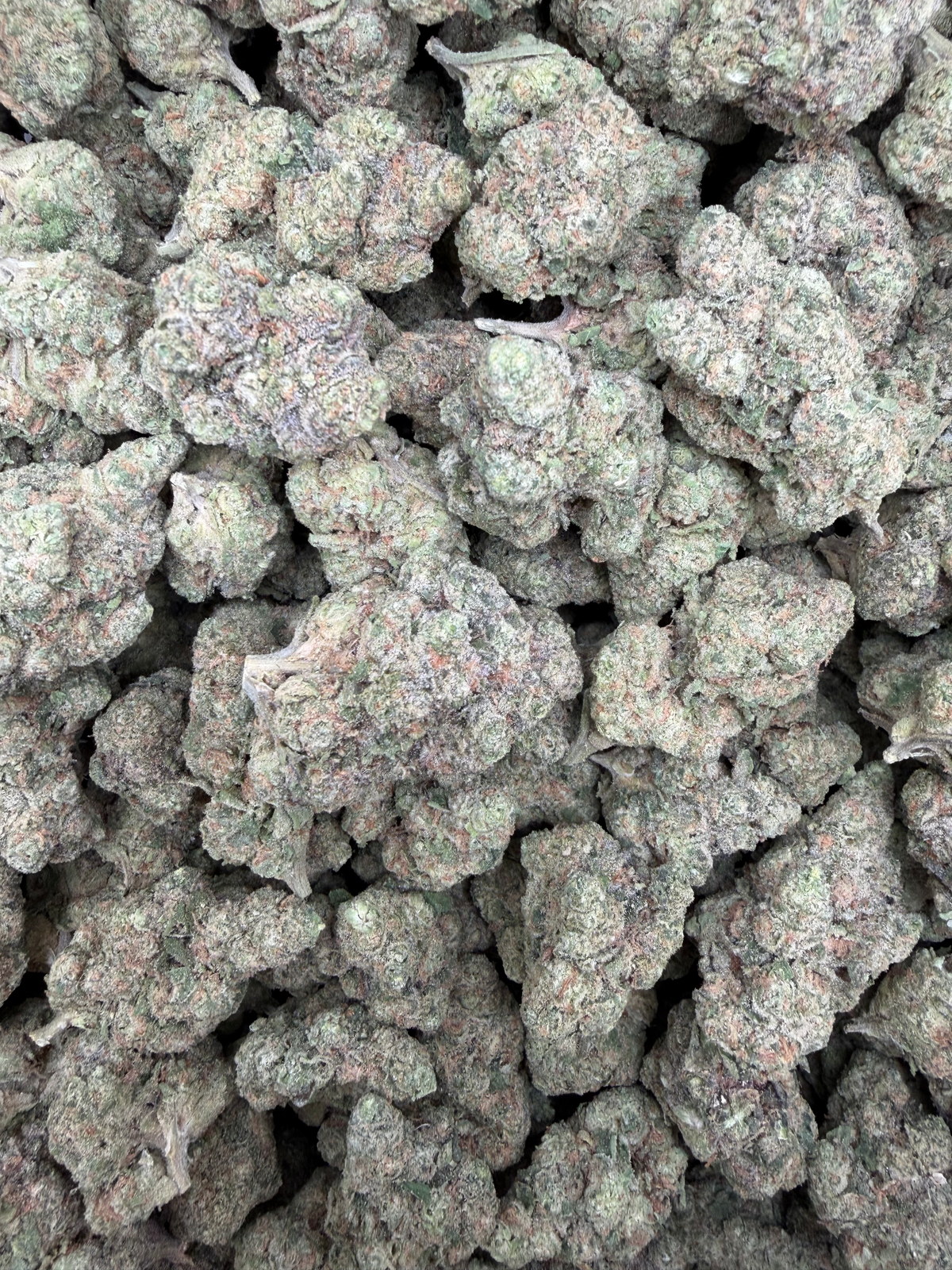 Gasanova THCA flower full framed lot