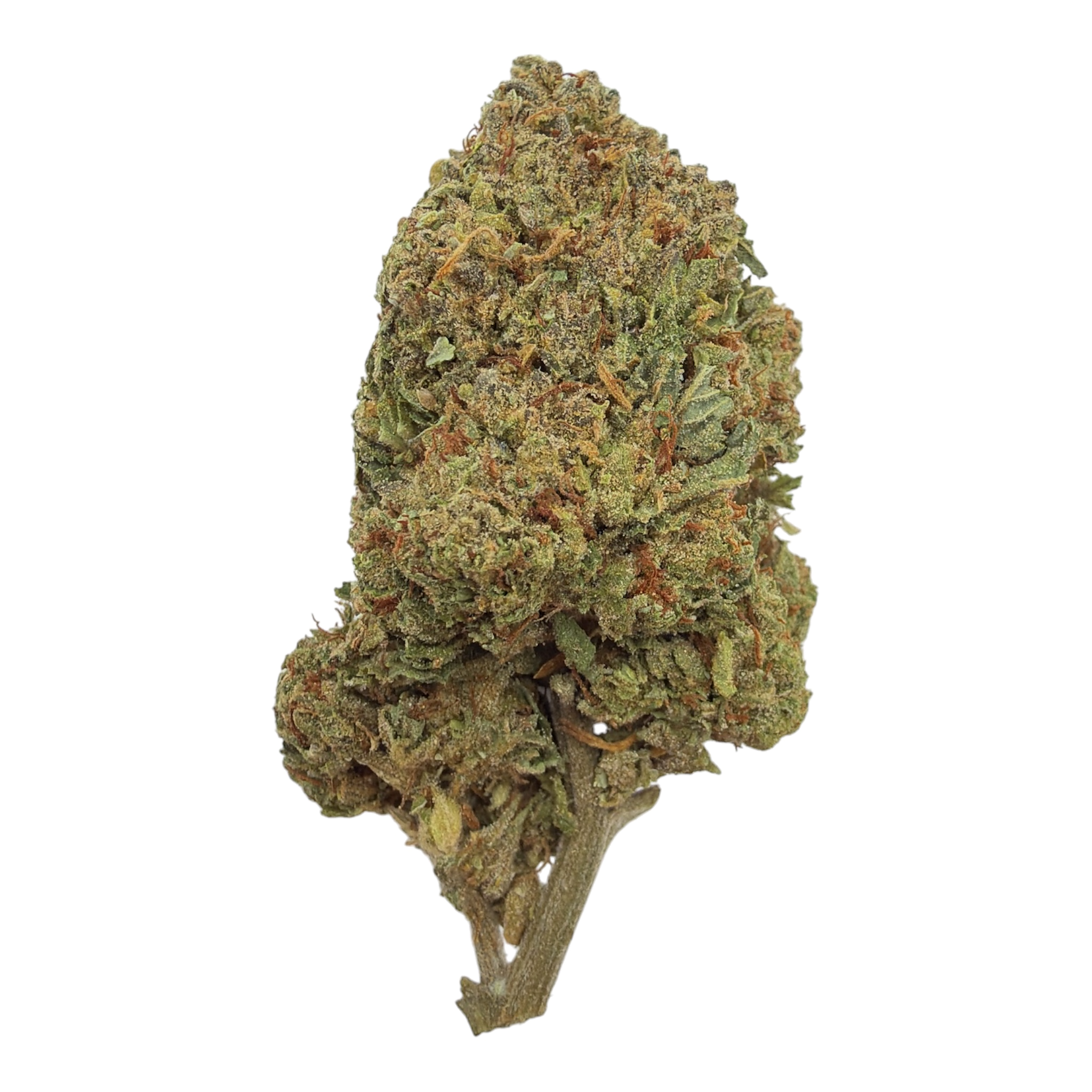 Gelato 41 Green House THCA Flower
