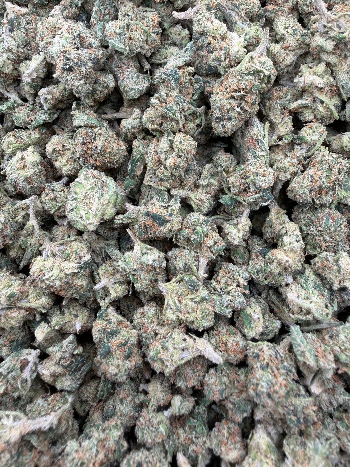 Gelato Float Indoor Smalls THCA flower batch close-up