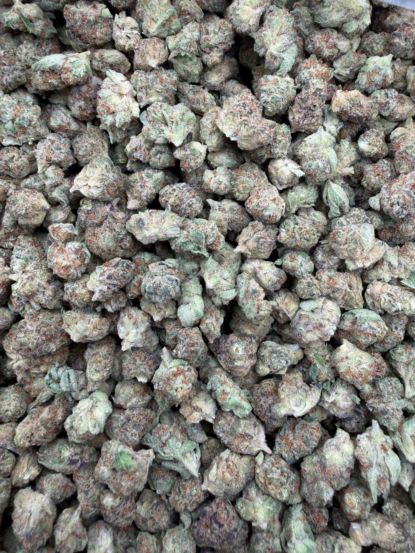 Girl Scout Cookies Indoor Smalls THCA flower – full current-batch photo