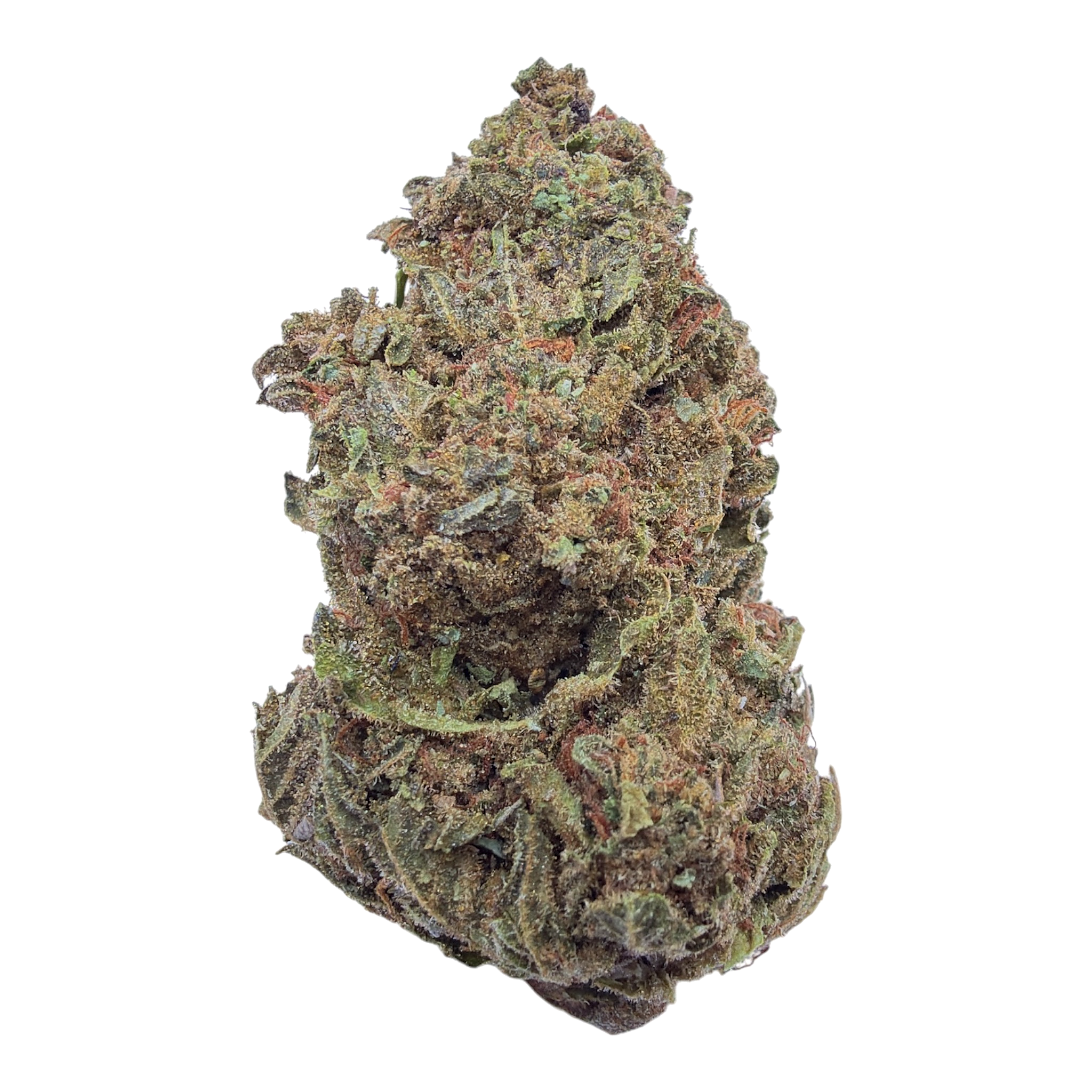 Girl Scout Cookies Light Assist Full-Size Buds THCA flower – isolated current-lot buds