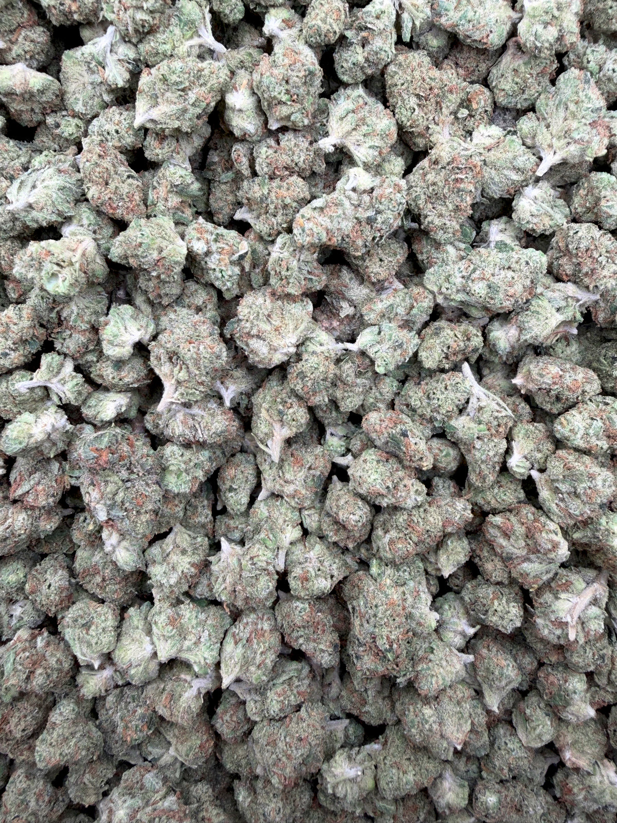 Girl Scout Cookies Smalls THCA flower - full current-batch lot photo