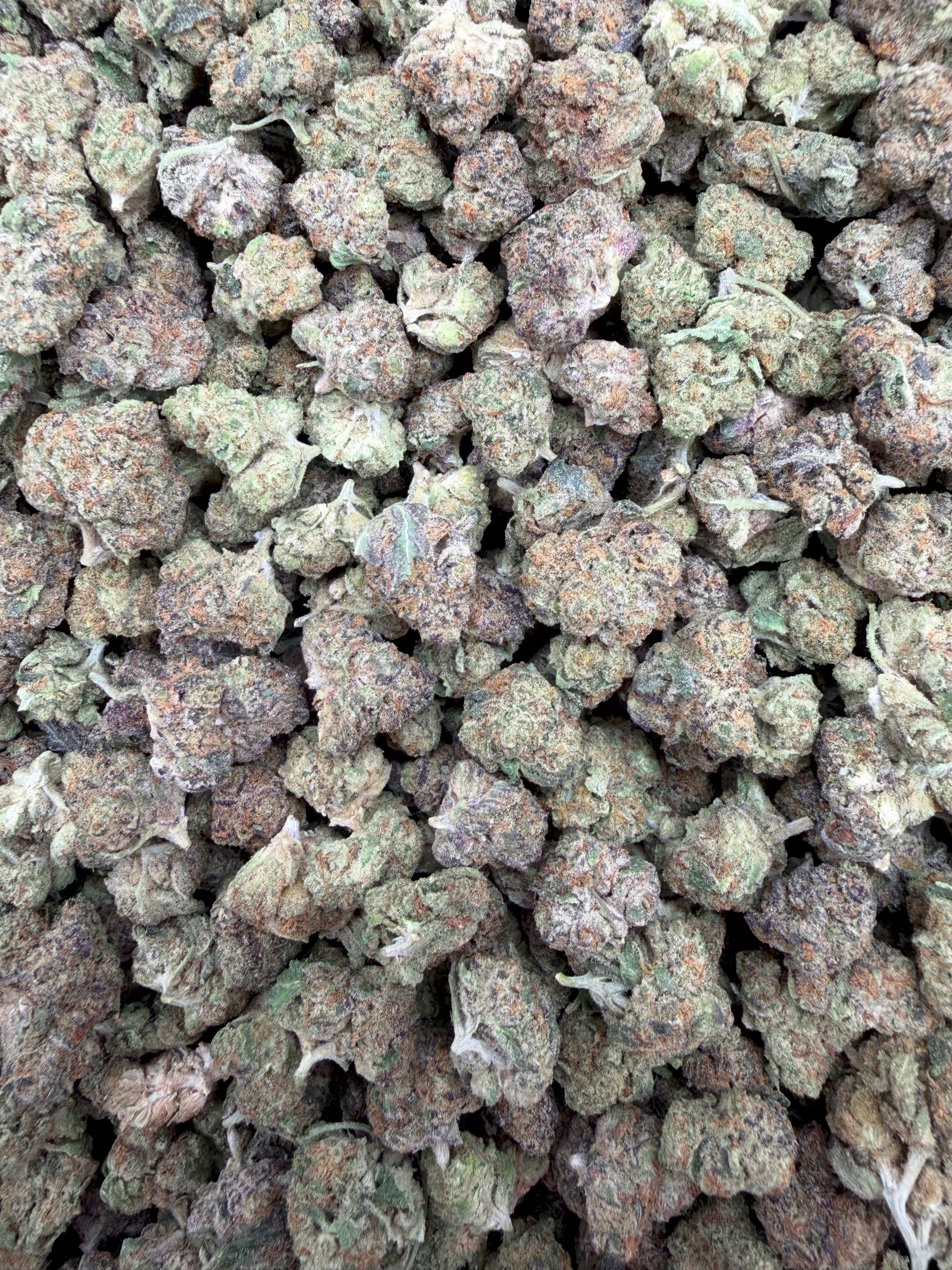 Glazed Apple Smalls THCA flower - full current-batch lot photo