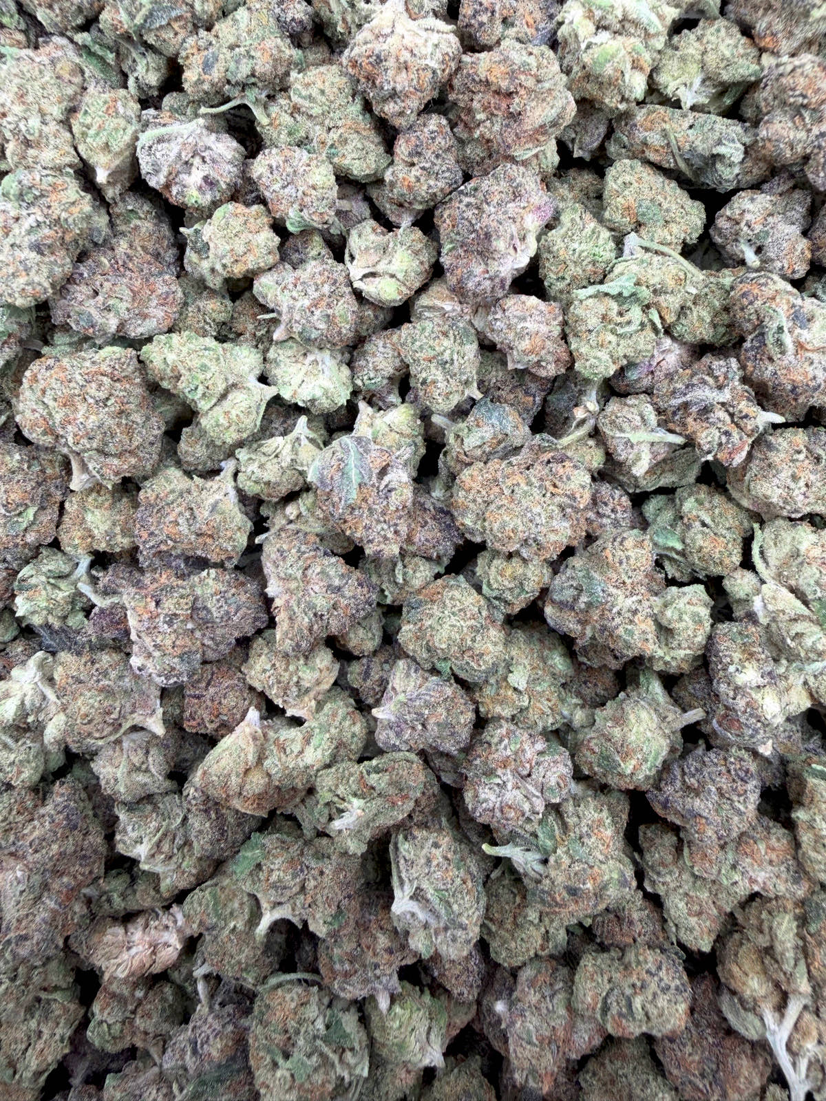 Glazed Apple Smalls THCA flower - full current-batch lot photo