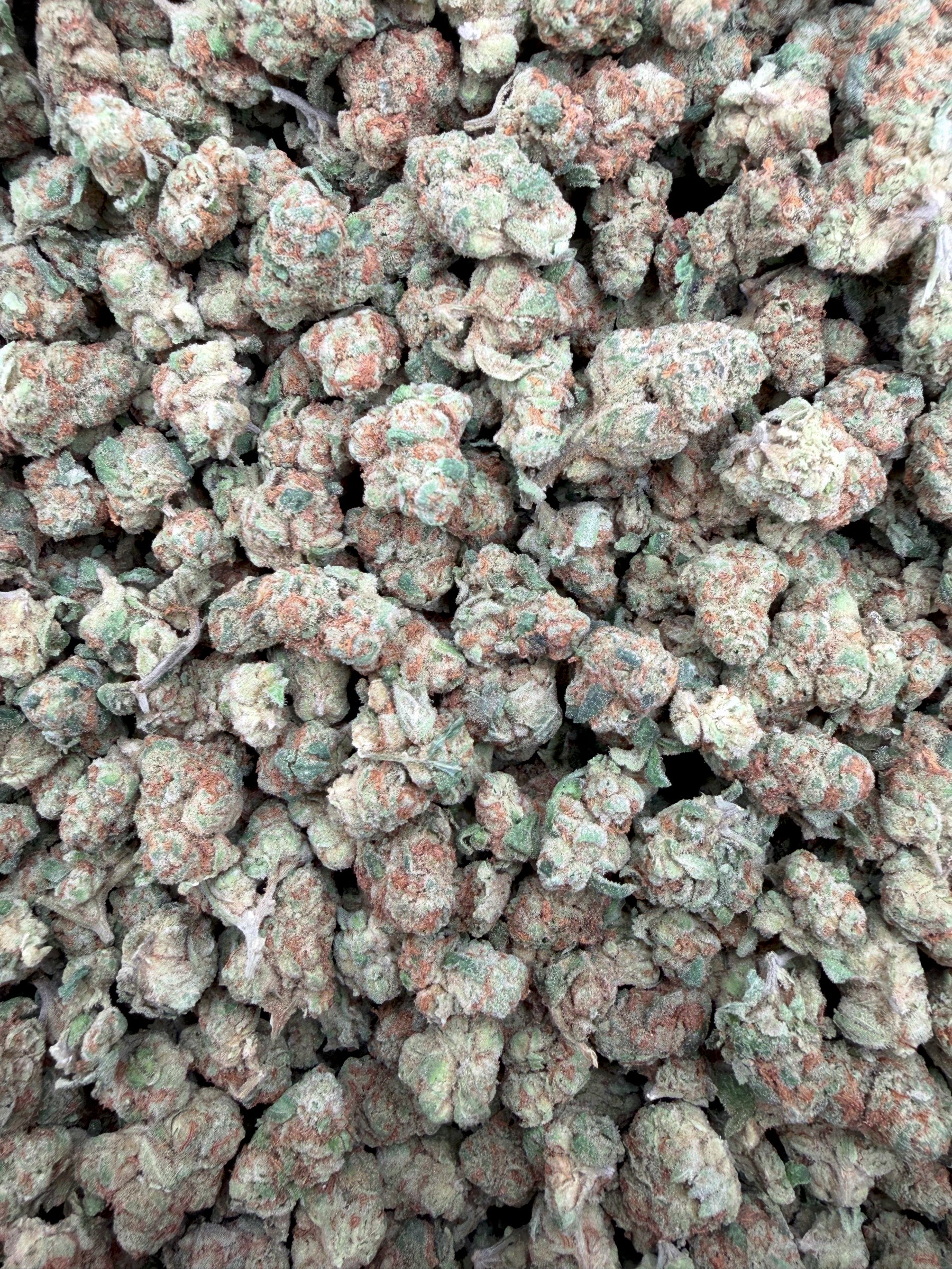 Glitter Bomb Smalls THCA flower - full current-batch lot photo