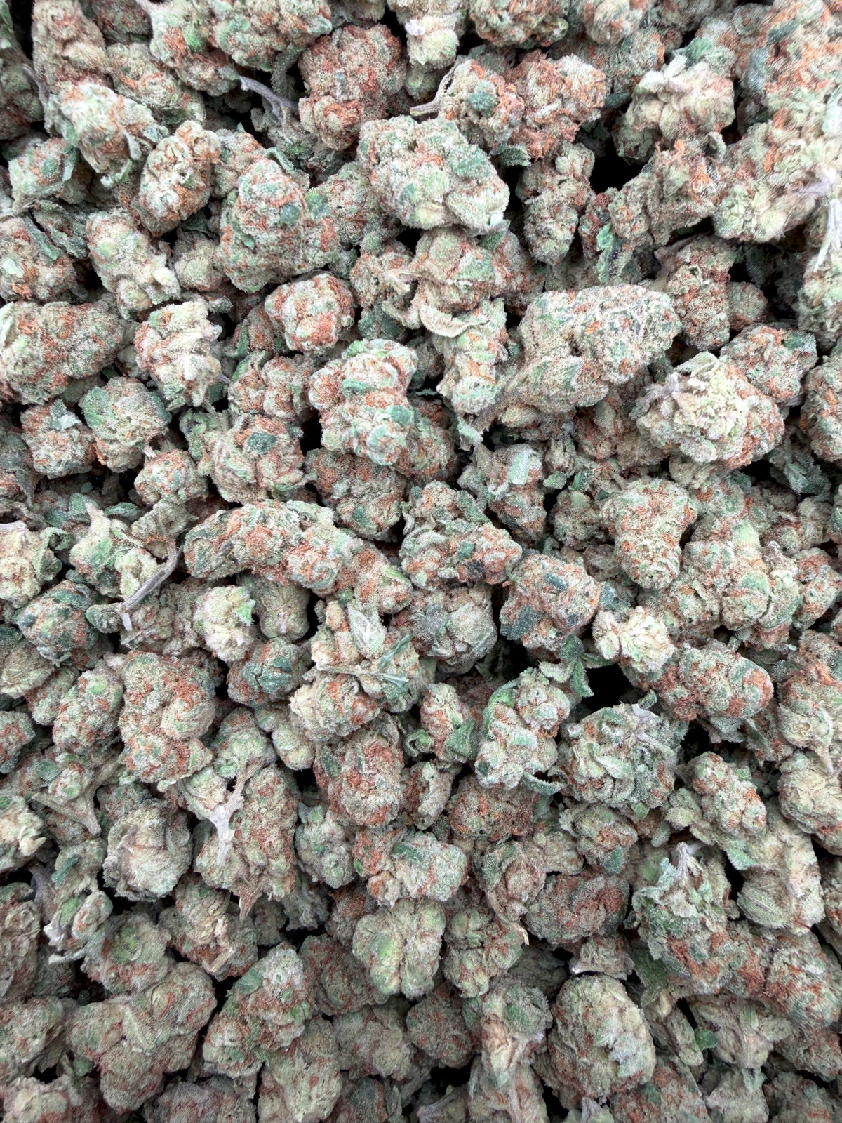 Glitter Bomb Smalls THCA flower - full current-batch lot photo