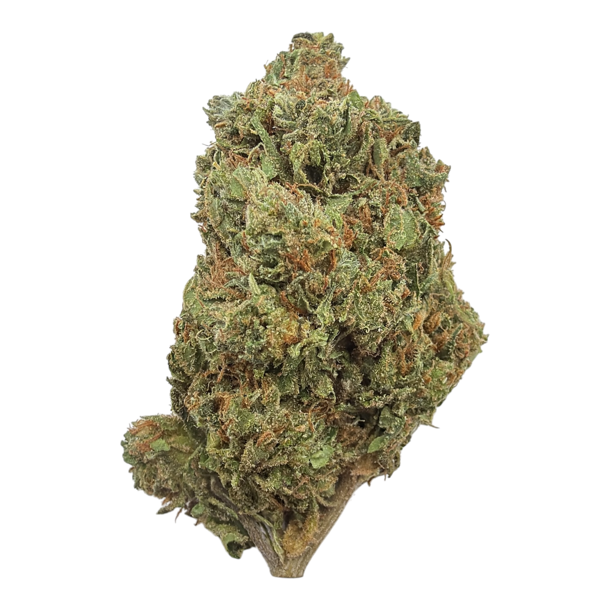 Gorilla Glue Light Assist THCA Flower
