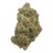 Gorilla Glue Light Assist THCA Flower