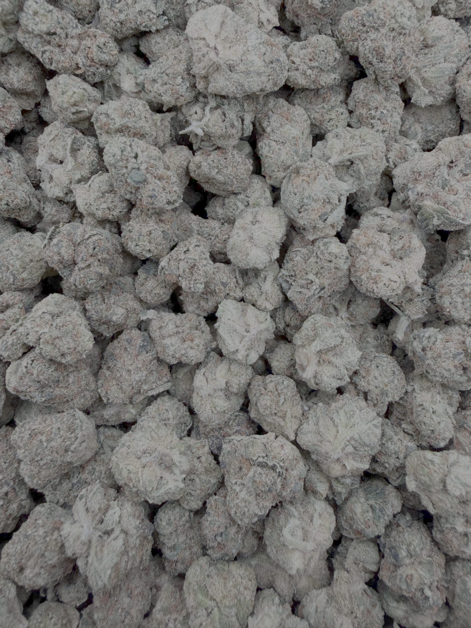 Grape Cream Cake Indoor Smalls THCA flower – full-frame current-batch buds