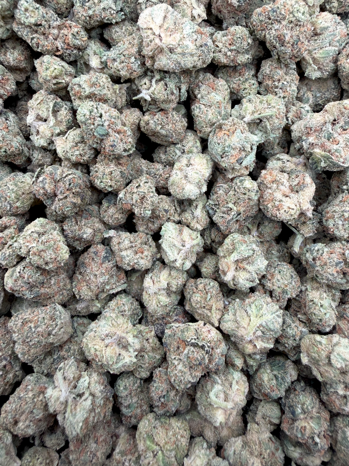 Grape Cream Cake Indoor Smalls THCA flower – full-frame current-batch buds