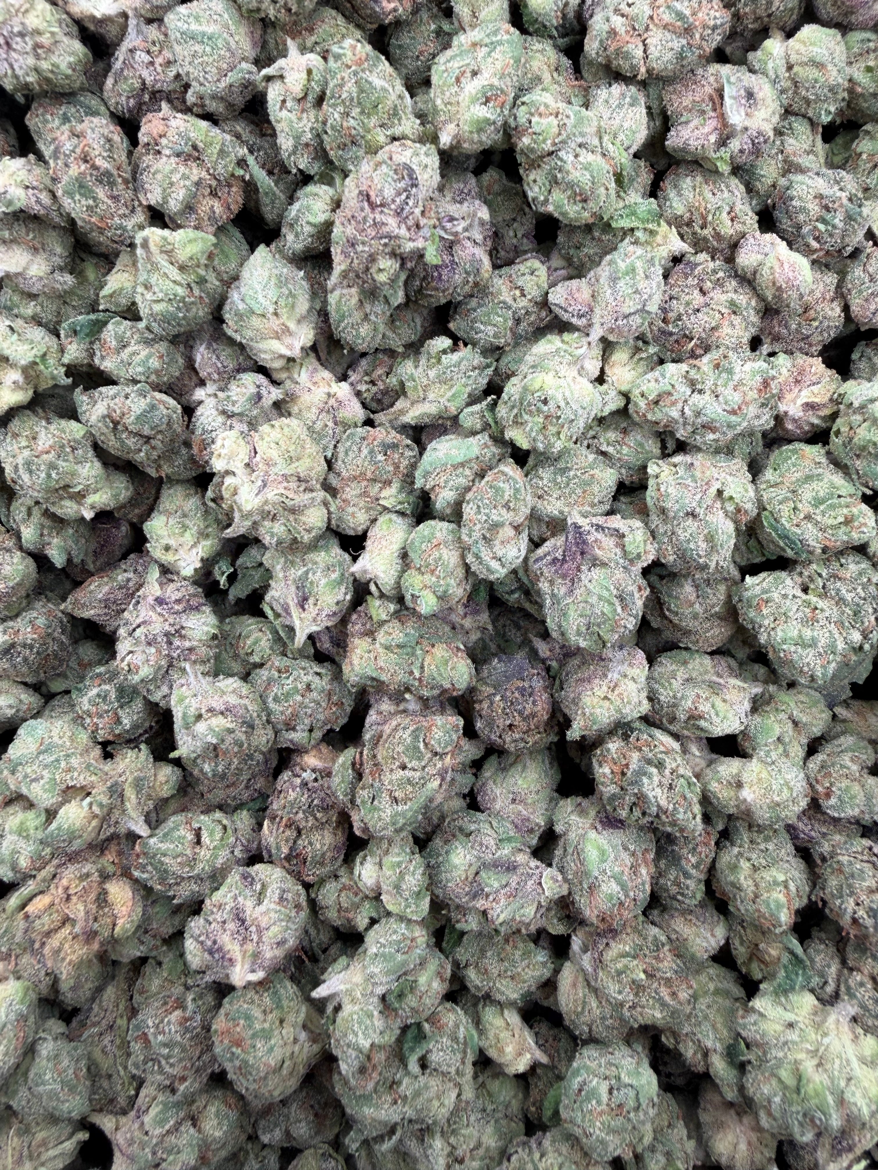 Grape Cream Cake indoor smalls THCA flower — full-frame current-lot photo