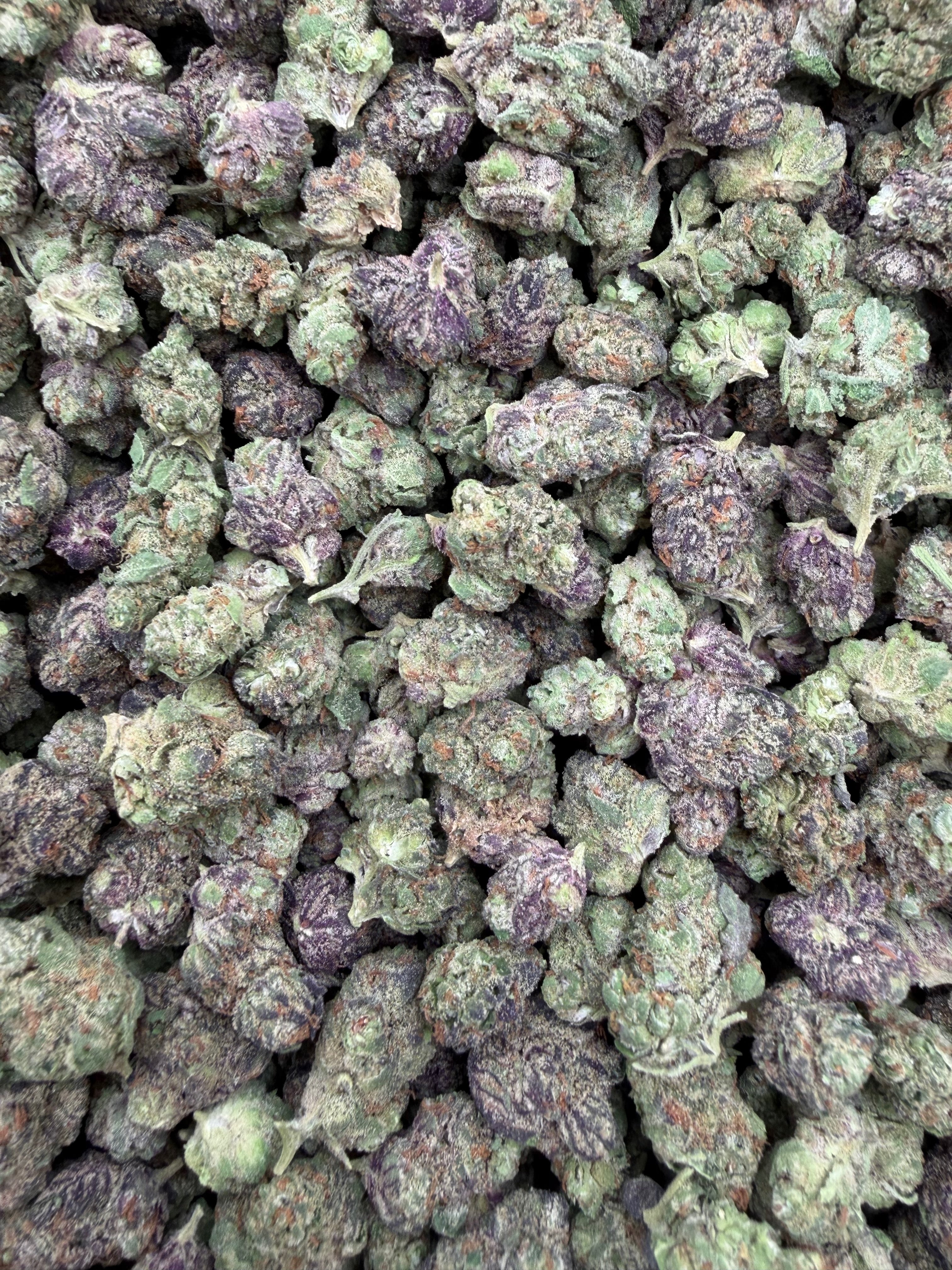 Grapefruit Diesel Indoor Smalls THCA flower – full current-batch photo