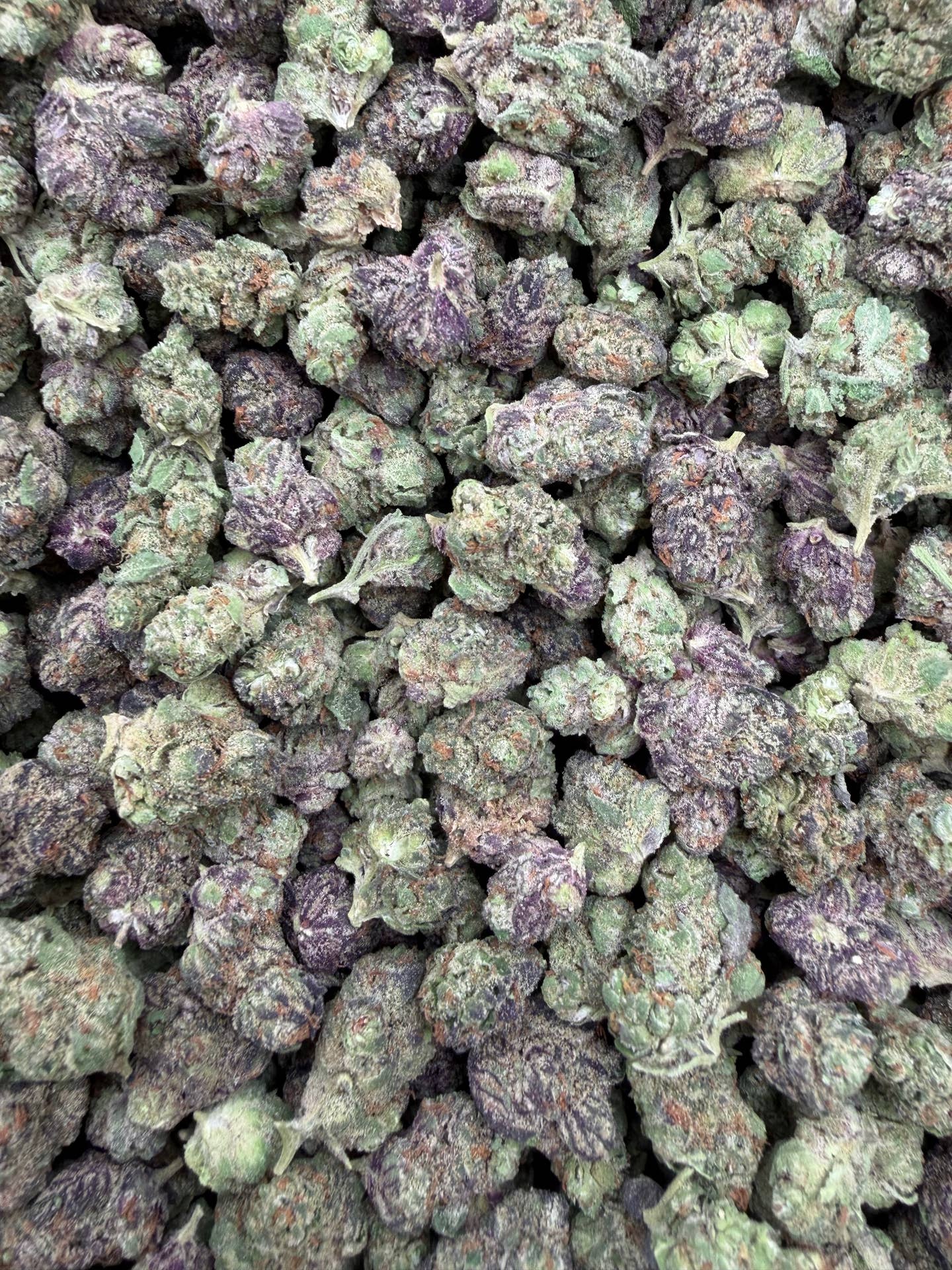 Grapefruit Diesel Indoor Smalls THCA flower – full current-batch photo