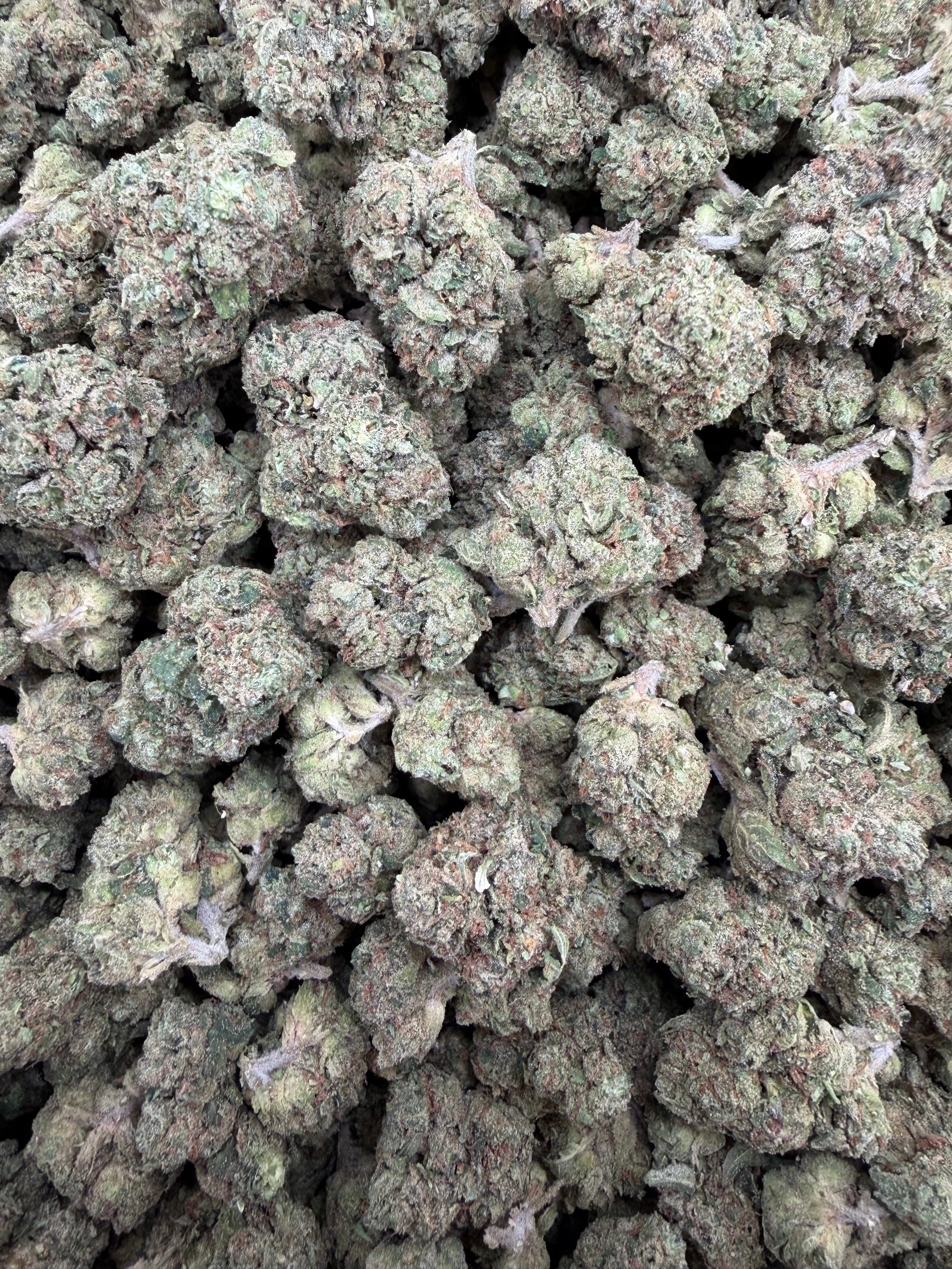 Gum Drops smalls THCA flower - exact current-lot full-frame photo