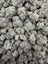 Gum Drops smalls THCA flower - exact current-lot full-frame photo