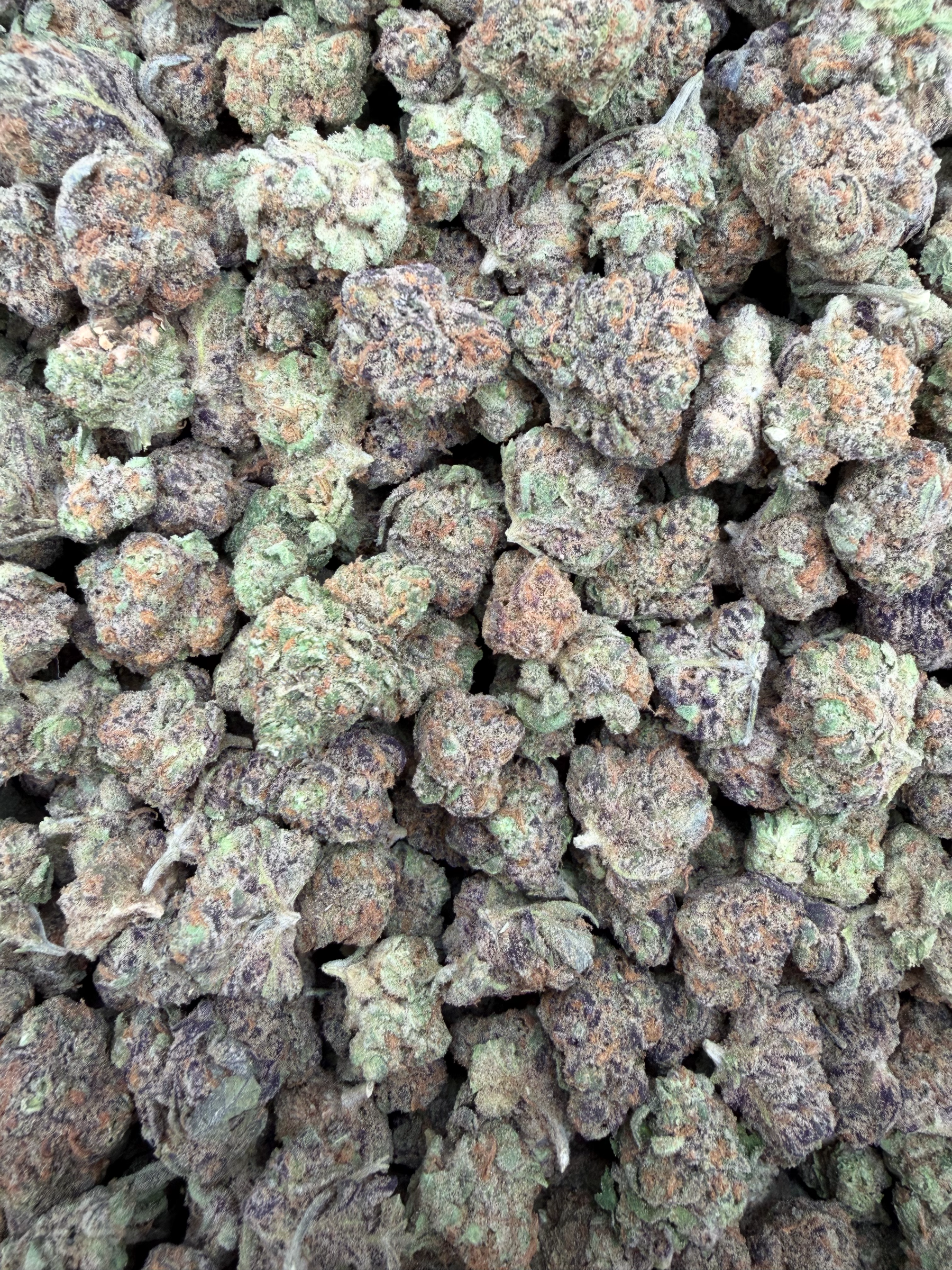 Ice Cream Cake indoor medium buds THCA flower — full-lot view