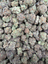 Ice Cream Cake indoor medium buds THCA flower — full-lot view