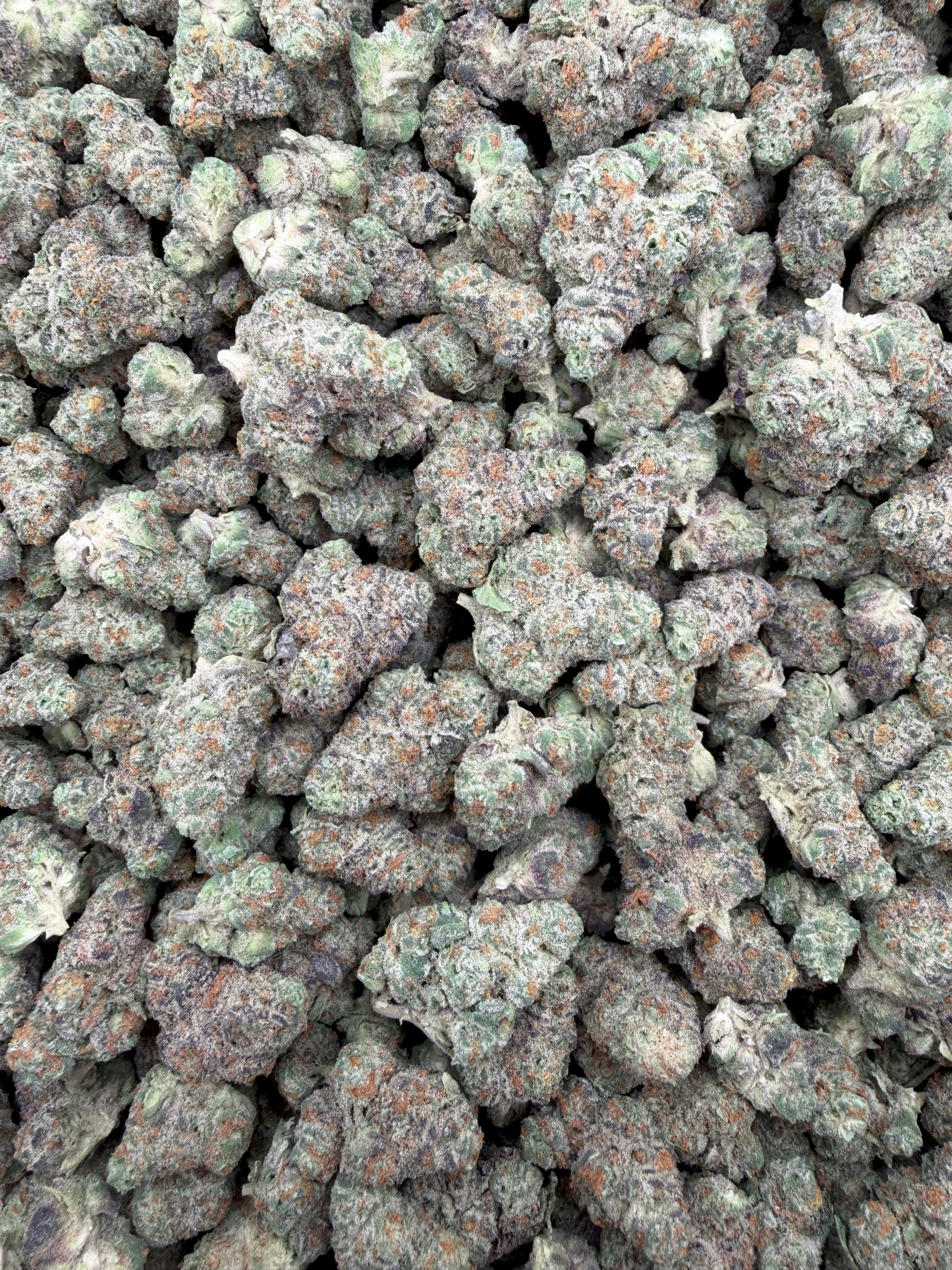 Ice Cream Sherb THCA flower full-frame batch photograph
