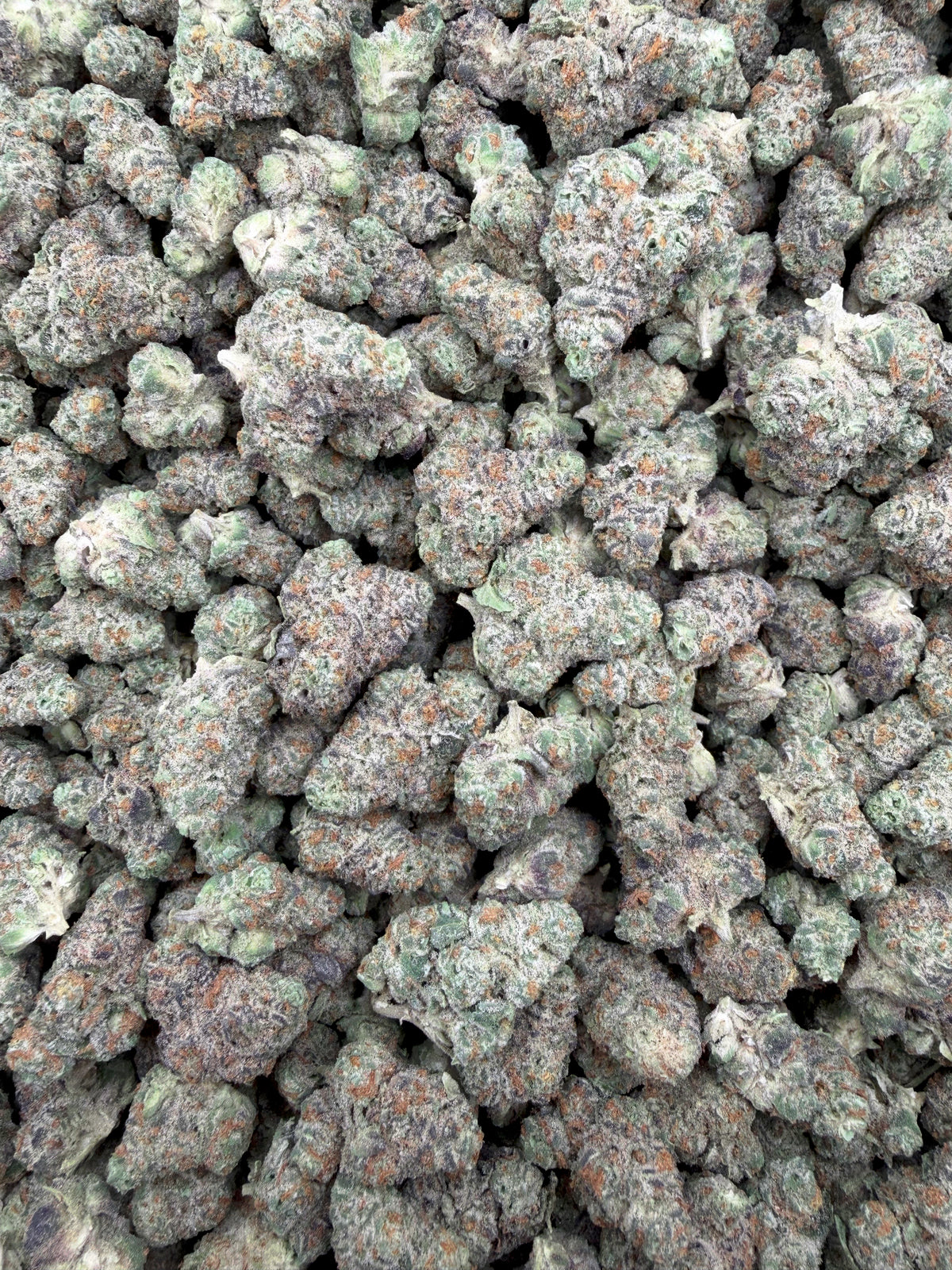 Ice Cream Sherb THCA flower full-frame batch photograph