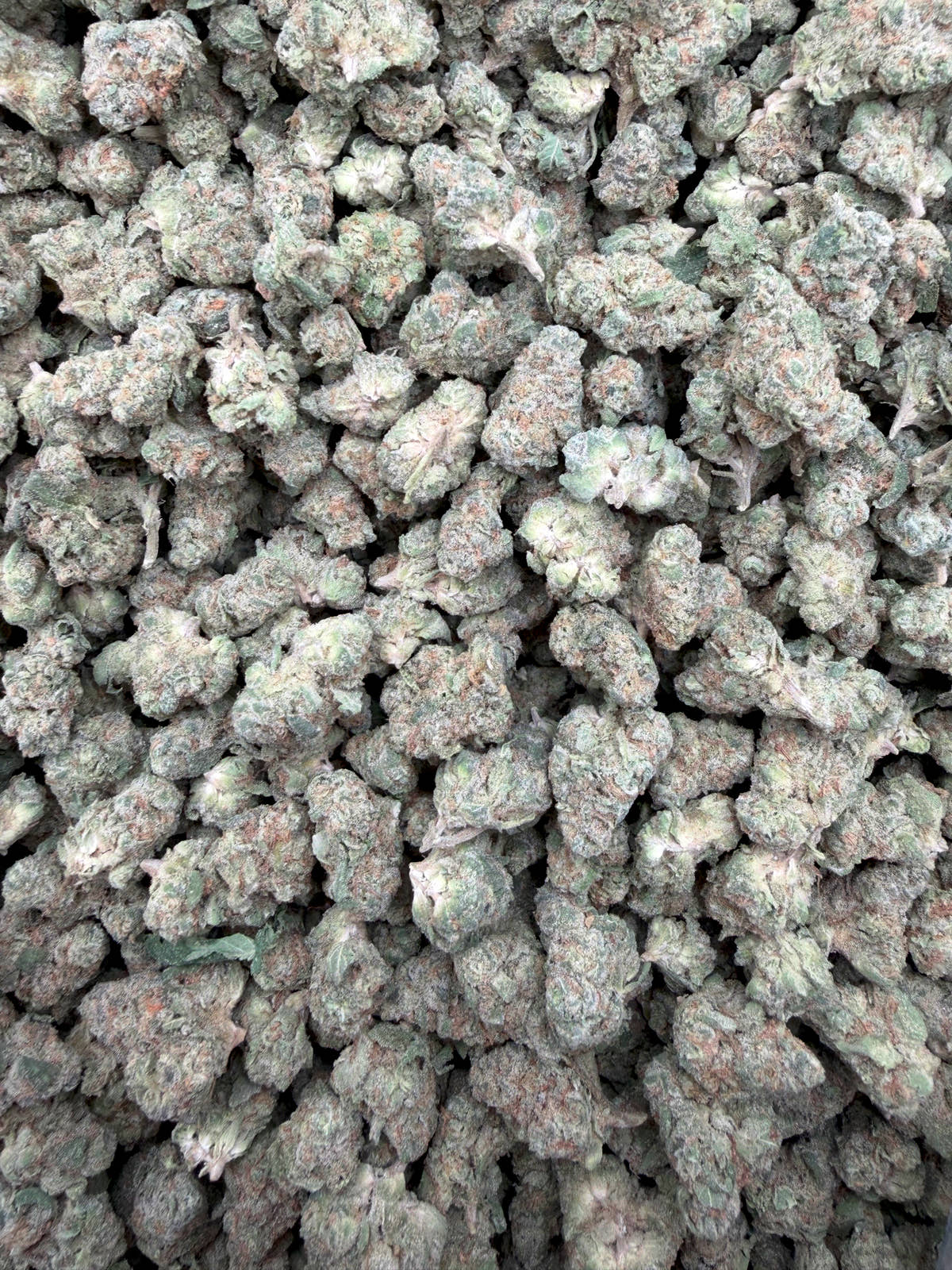 Jifflez Smalls THCA flower - current small buds on white background