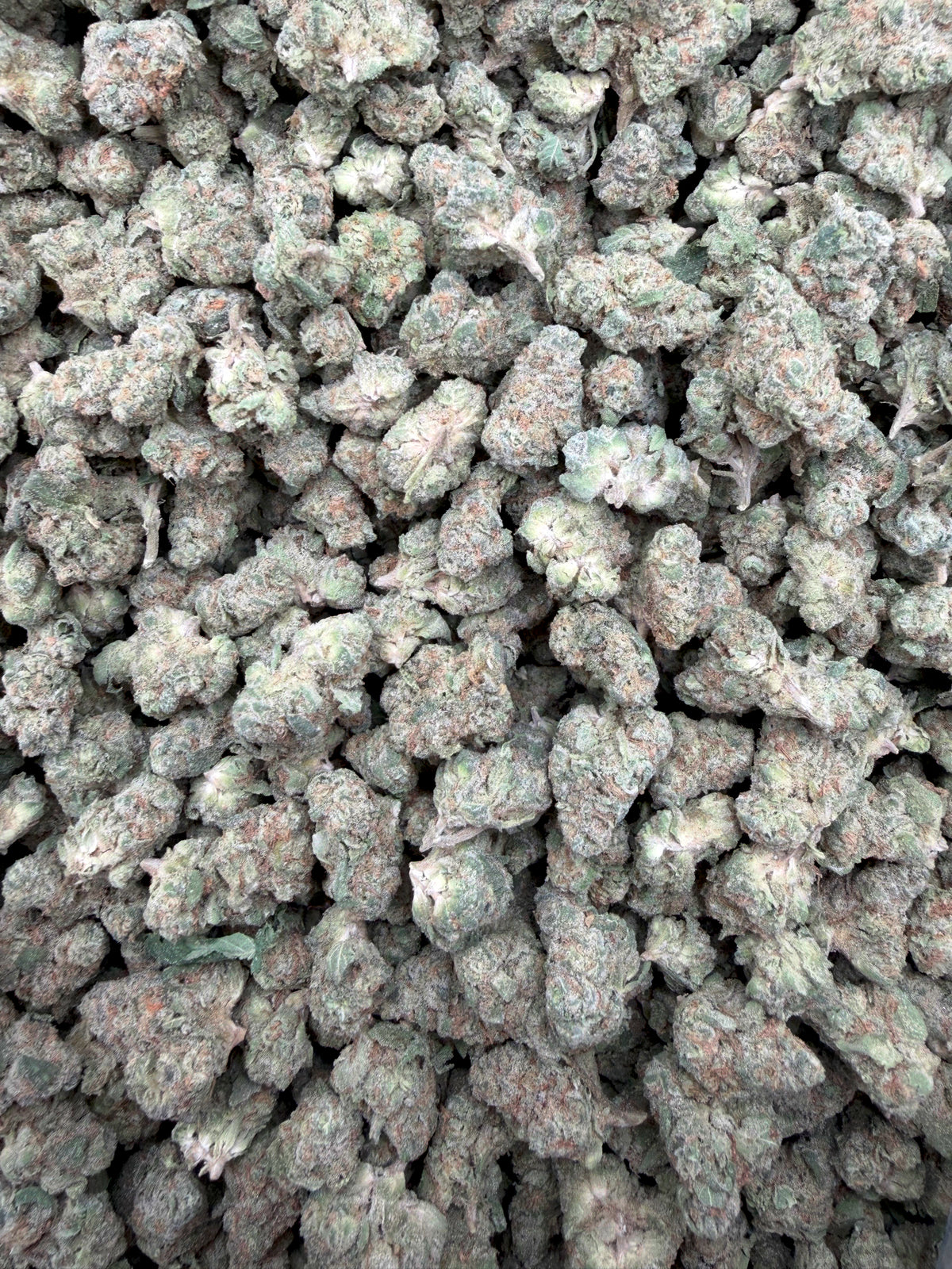 Jifflez Smalls THCA flower - current small buds on white background