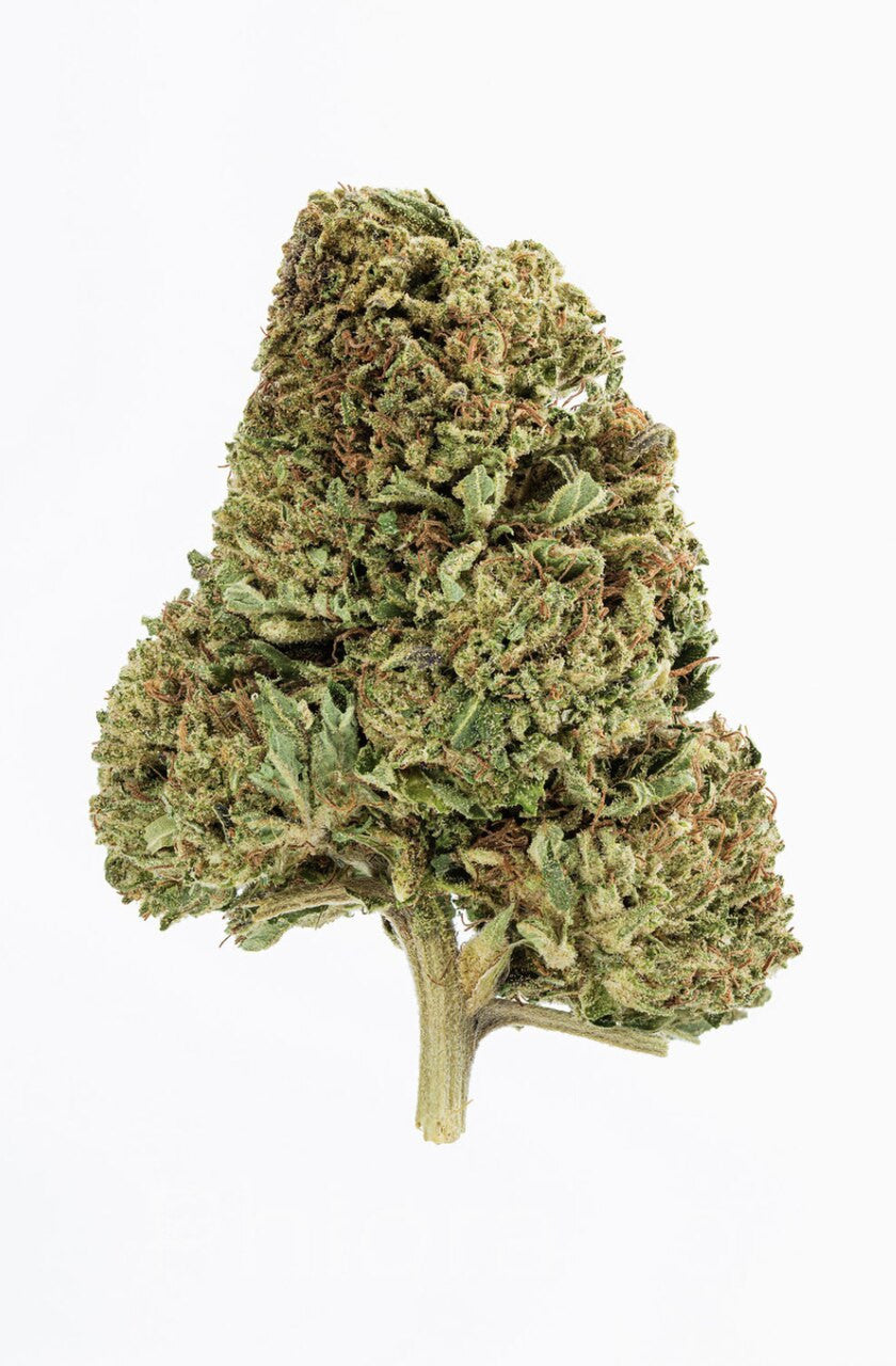 Kush