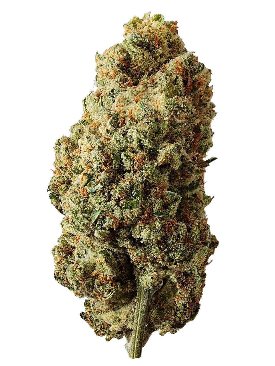Lazy OG Greenhouse Flower