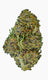 Legendary Platinum OG
