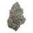 Lemon Bars THCA flower – isolated current-batch bud on white background
