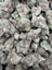Lemon Bars THCA flower – current full-lot view