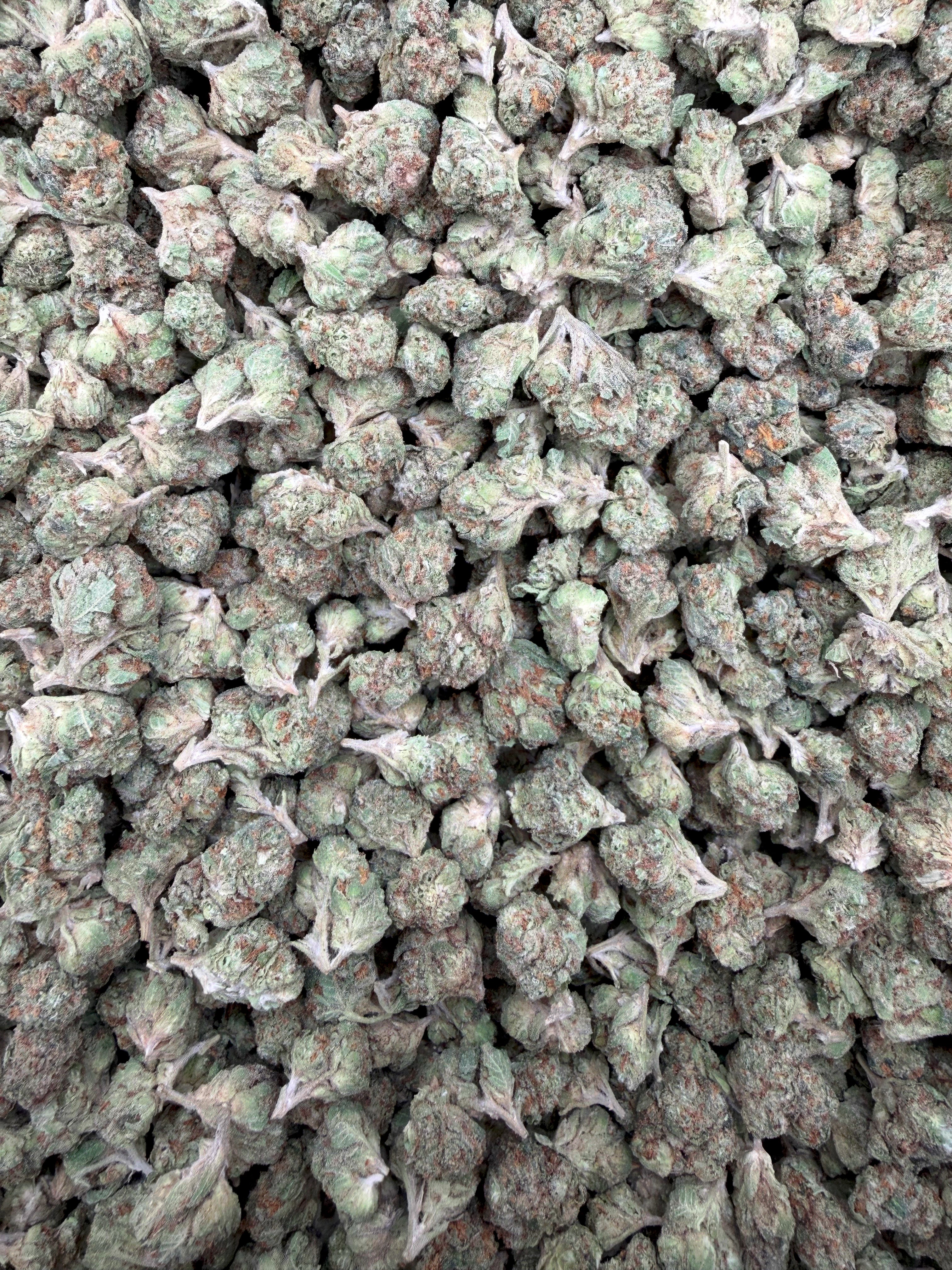 Lemon Cherry Runtz THCA flower full-frame batch photograph