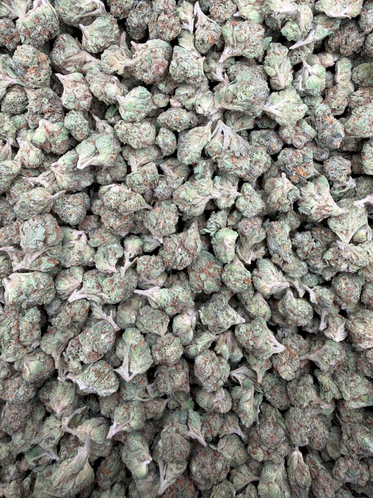 Lemon Cherry Runtz THCA flower full-frame batch photograph