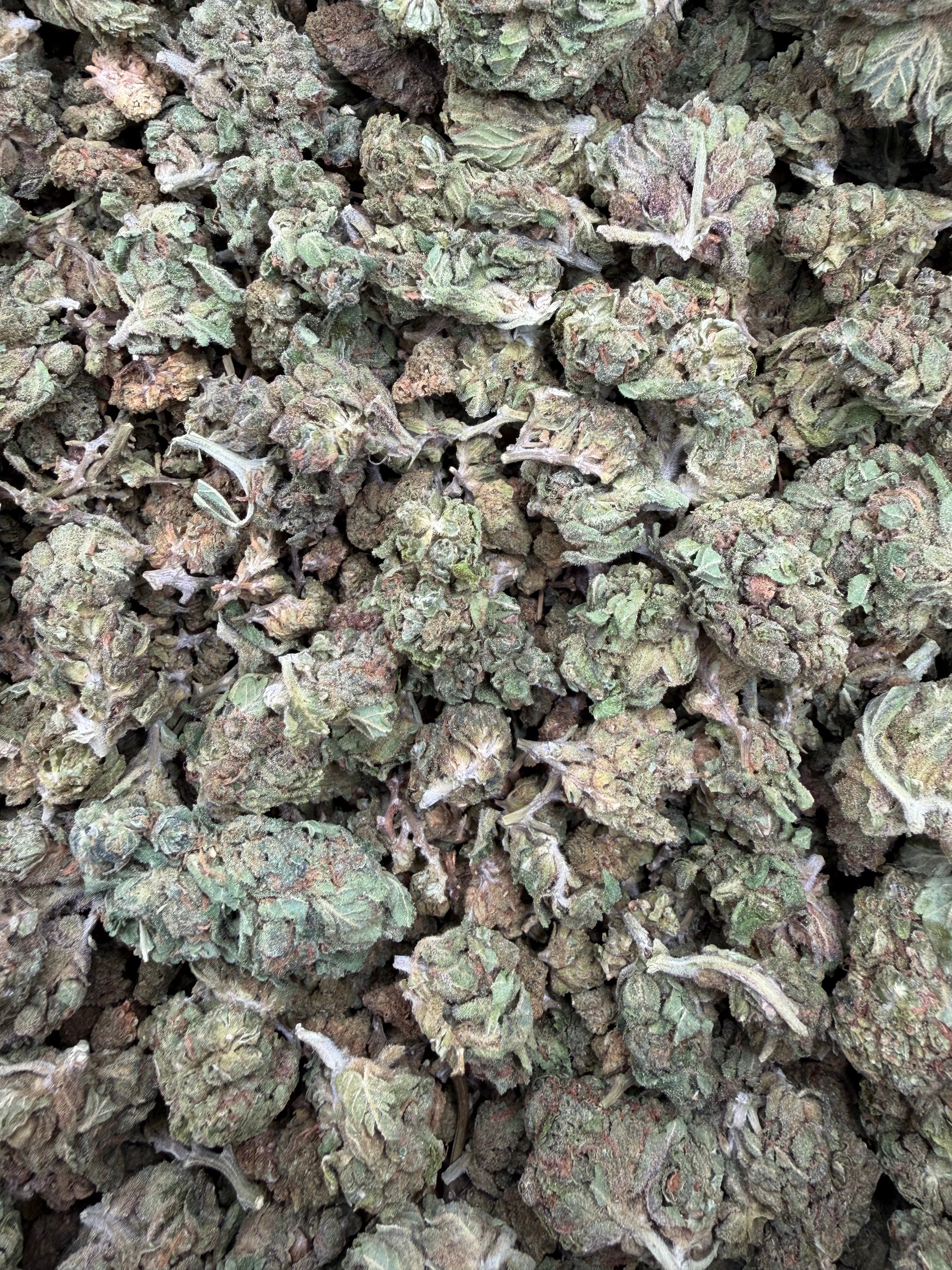 Lemon Headz Smalls THCA flower batch close-up