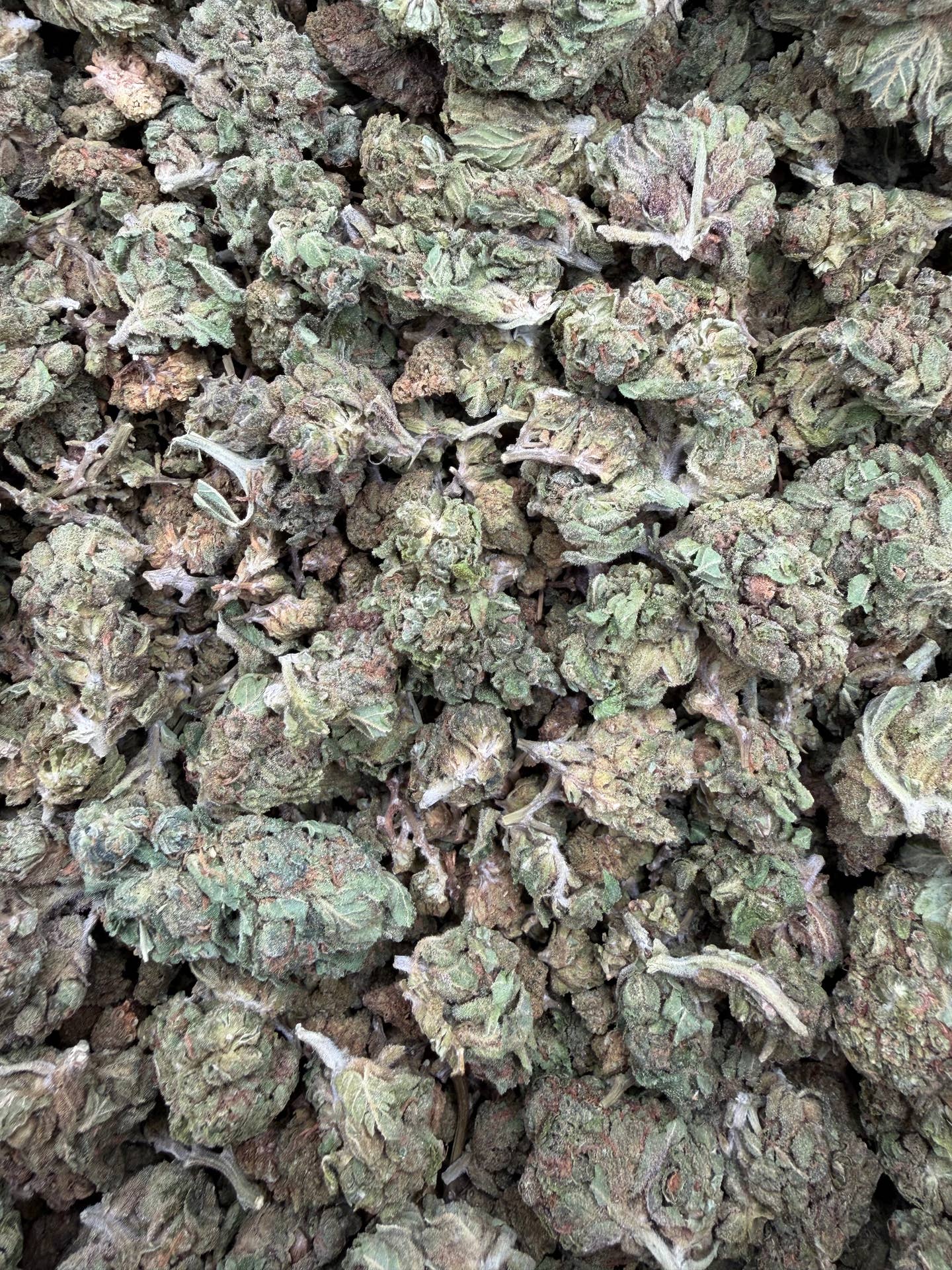 Lemon Headz Smalls THCA flower batch close-up