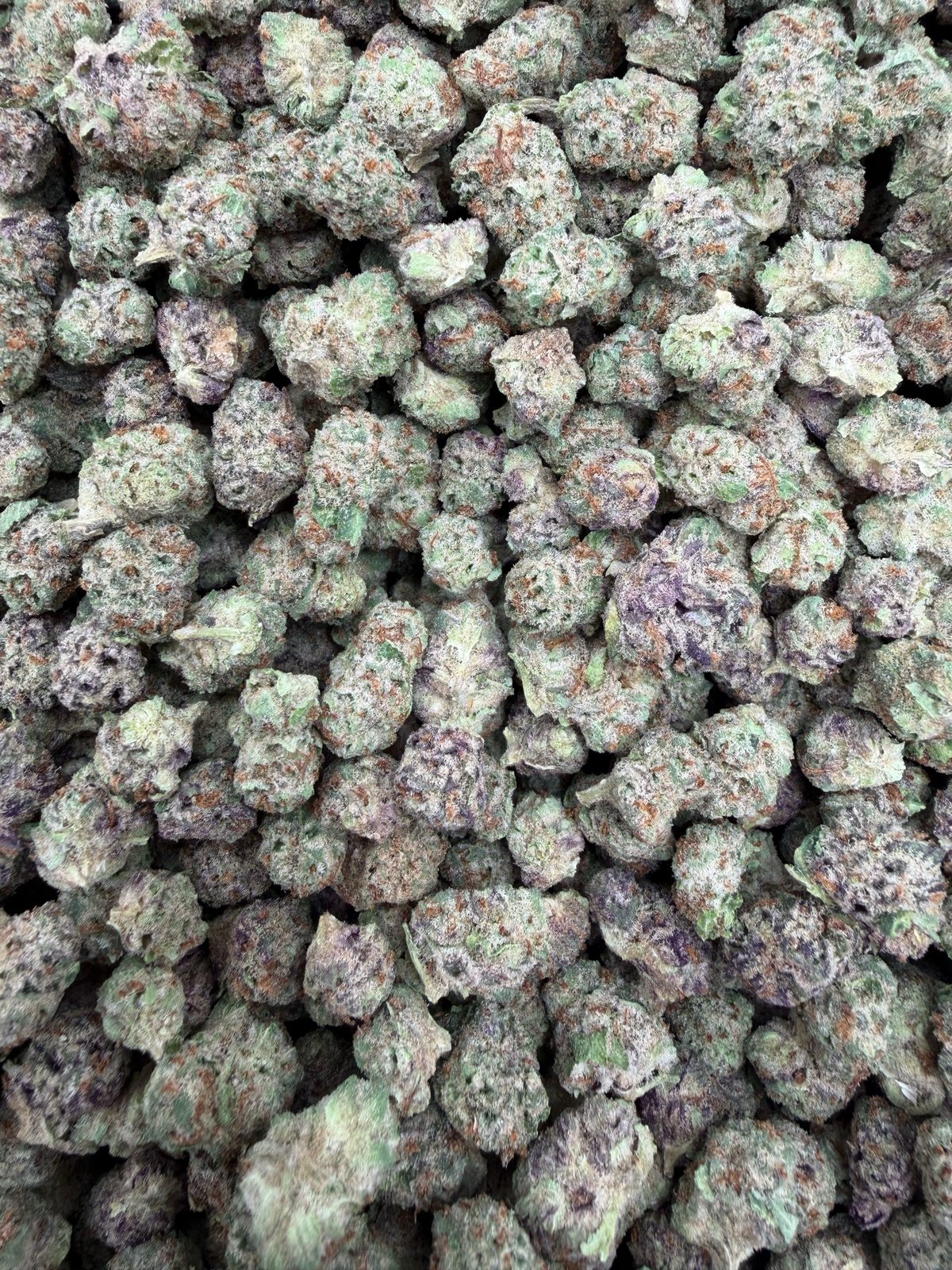 Lemon Zangria Smalls THCA flower – current full-lot view