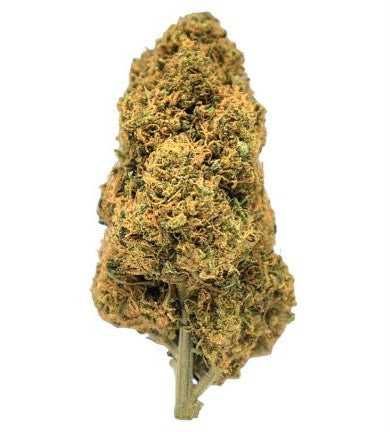 Mandarin Hash Pie Indoor Flower