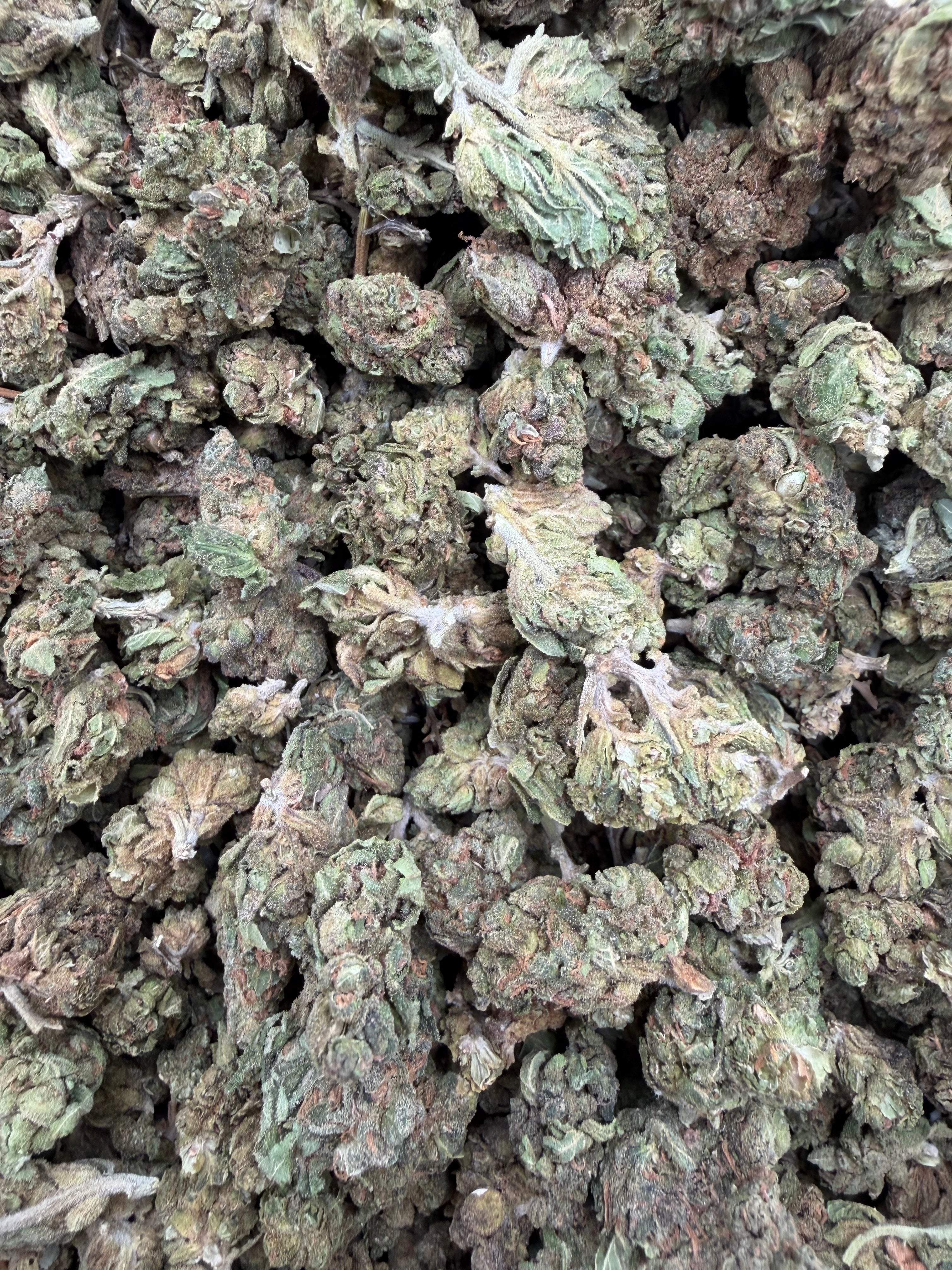 MJ Mintz Smalls THCA flower batch close-up