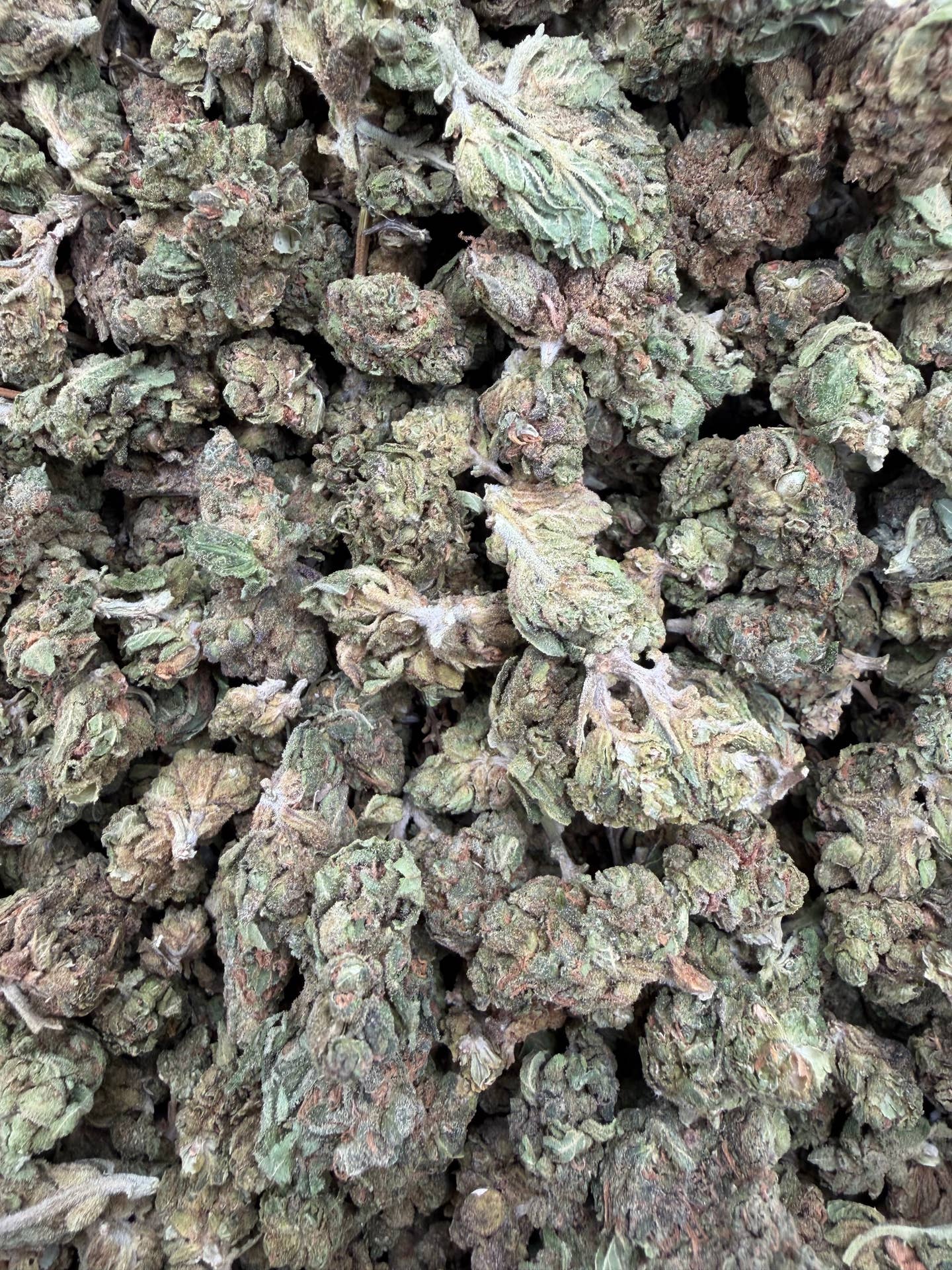 MJ Mintz Smalls THCA flower batch close-up