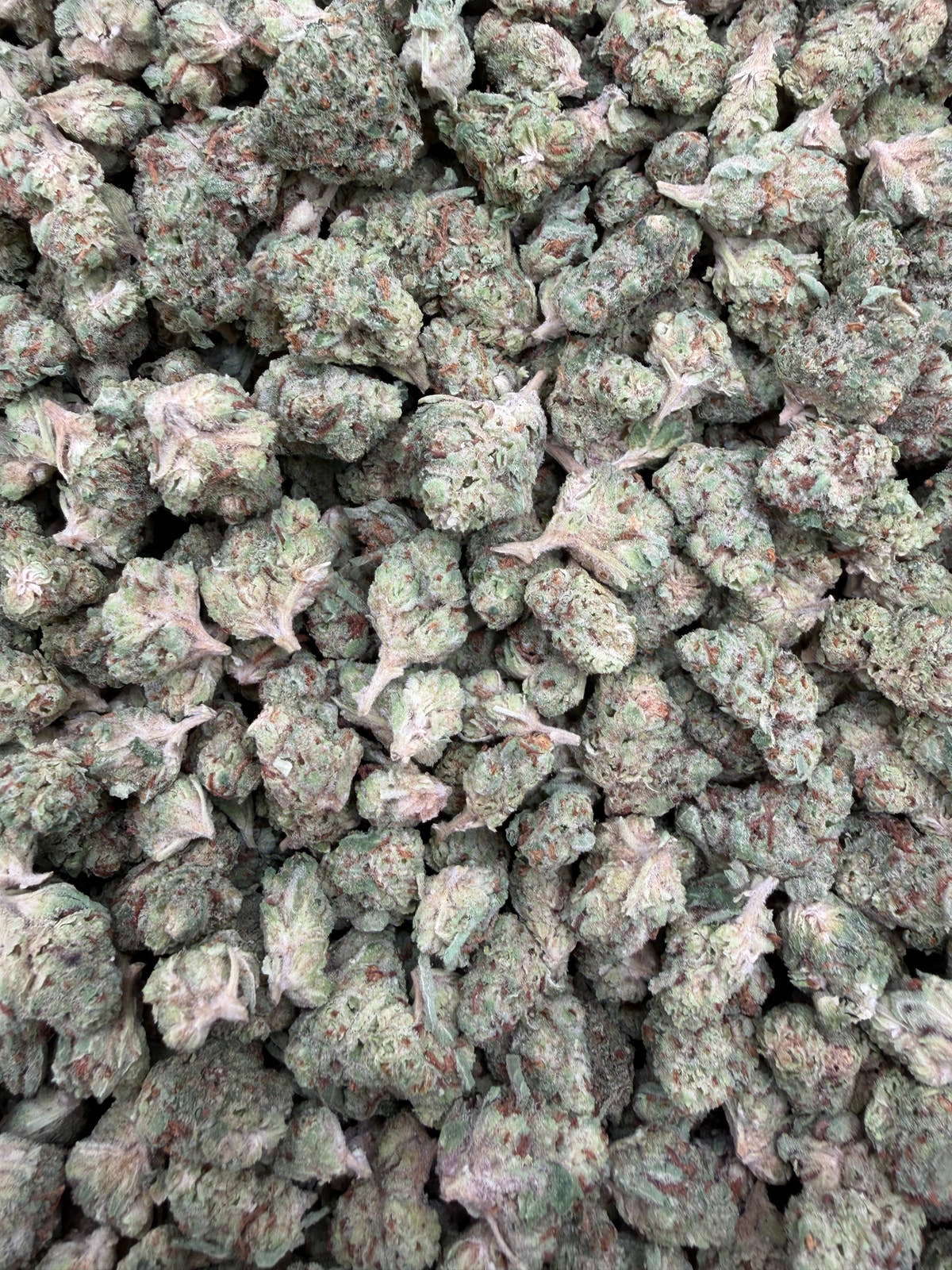 Omega Runtz indoor THCA smalls batch close-up