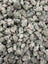 Omega Runtz indoor THCA smalls batch close-up
